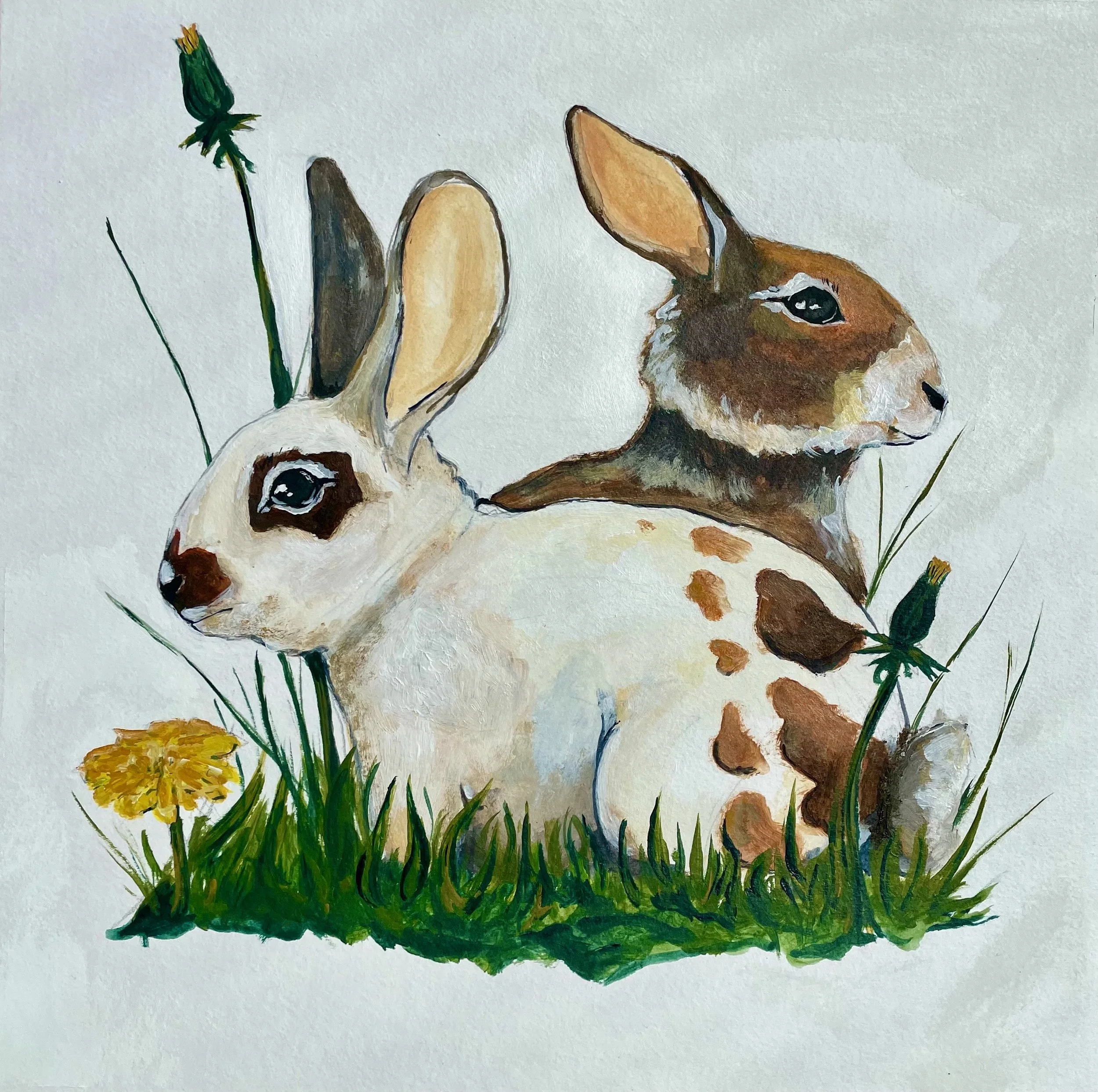 Rabbit Friends, Spring 2025.
12x12 Acrylic on Paper.
Completed as 2026 Common Ground Fair Submission. (Not Accepted)