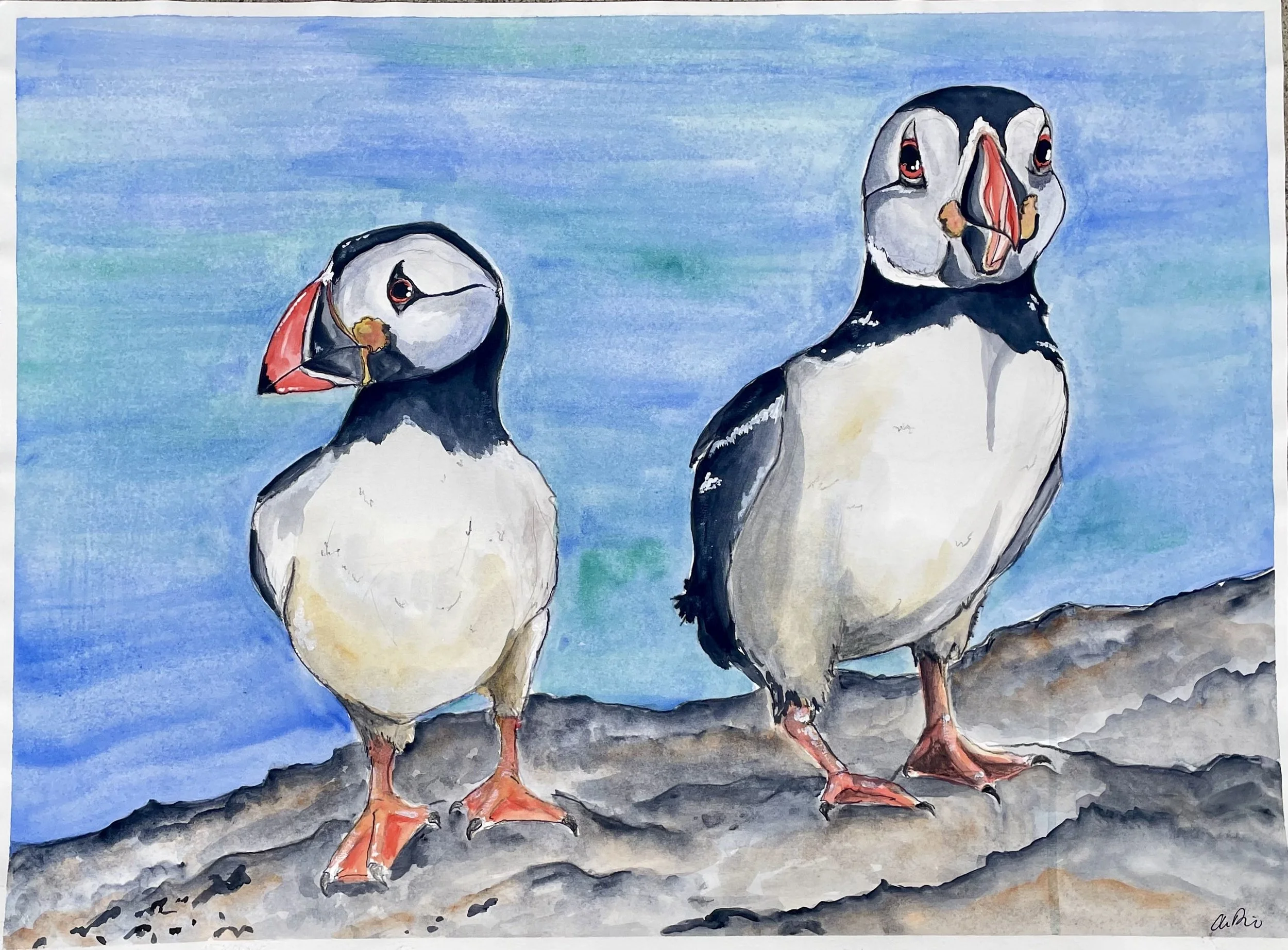 Two Puffins