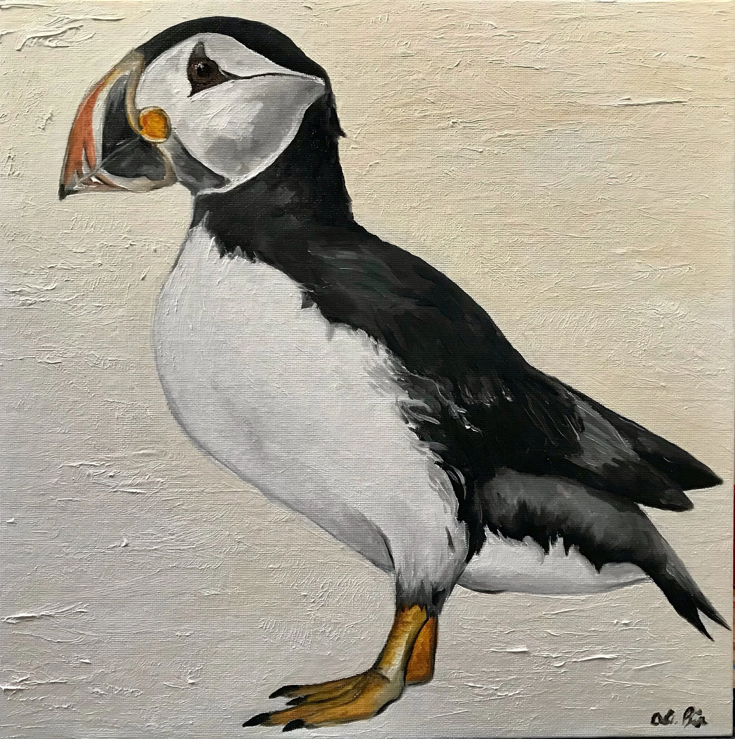 Single Puffin, Summer 2023.
11x11 Oil on Canvas Board.
First oil painting since college, getting comfortable with softness of oil paints.