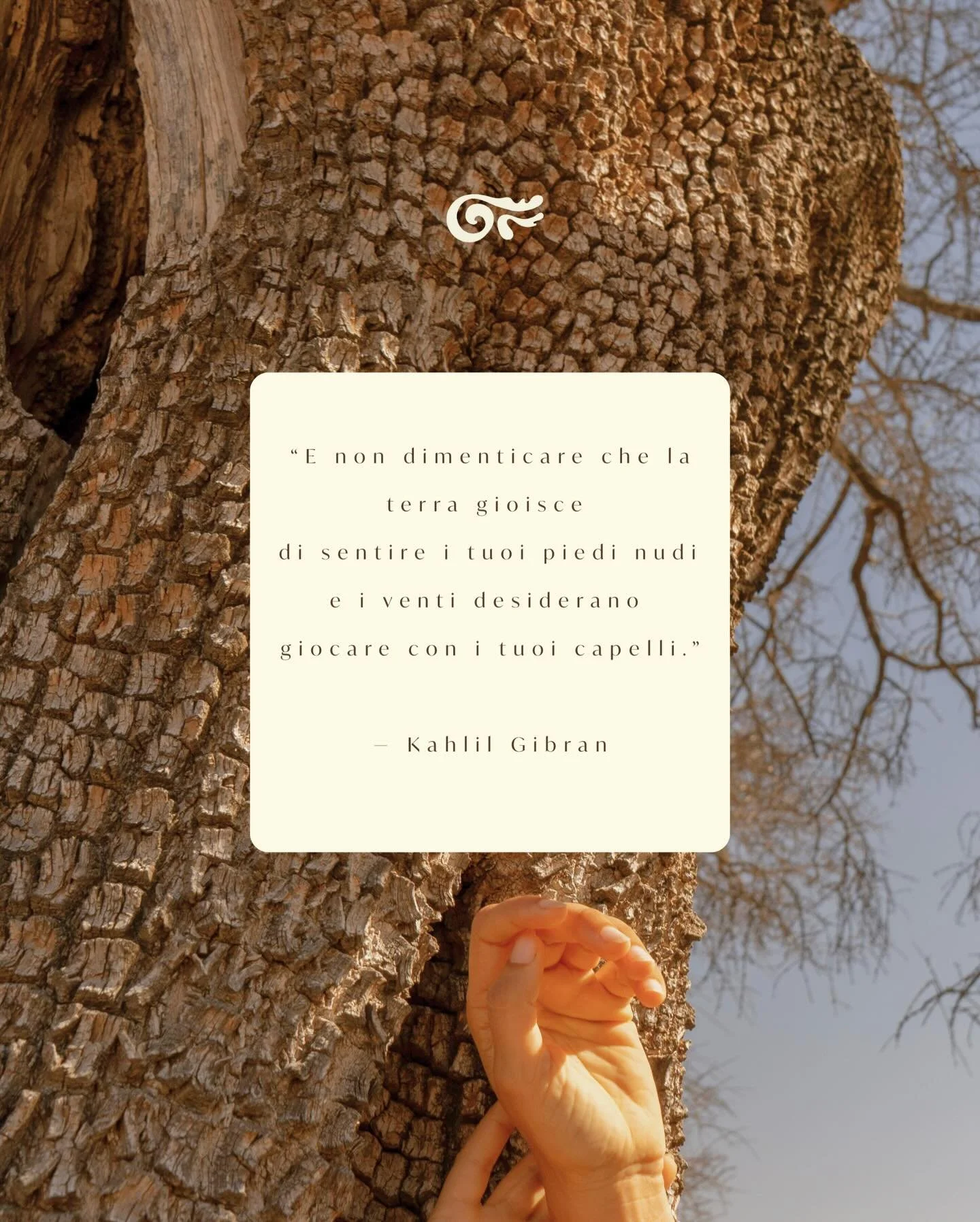 Il nome Ondaflora nasce dall&rsquo;incontro tra mare e fiori.
Tra movimento e radici, luce e terra.

Le onde insegnano il flusso.
I fiori insegnano la fioritura.

Insieme creano un ritmo, un modo di stare nel mondo.

Dove ci si ritrova, ci si inspira