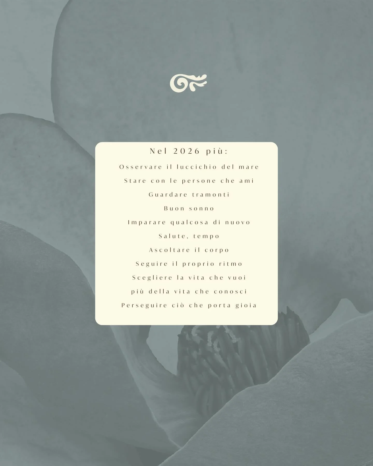 Un augurio per l&rsquo;anno che arriva 🌀✴️