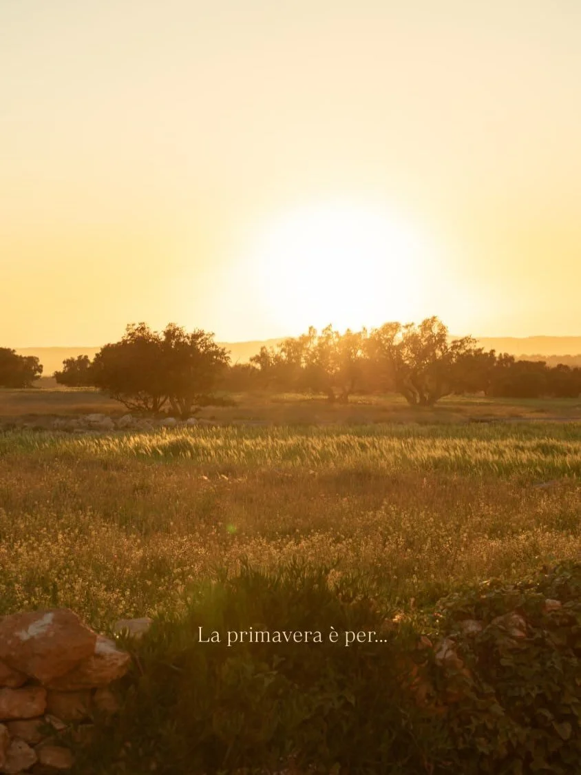 Hello spring 🌞

Foto dal nostro ultimo retreat by @emanuelalalala 

#primavera #equinozio