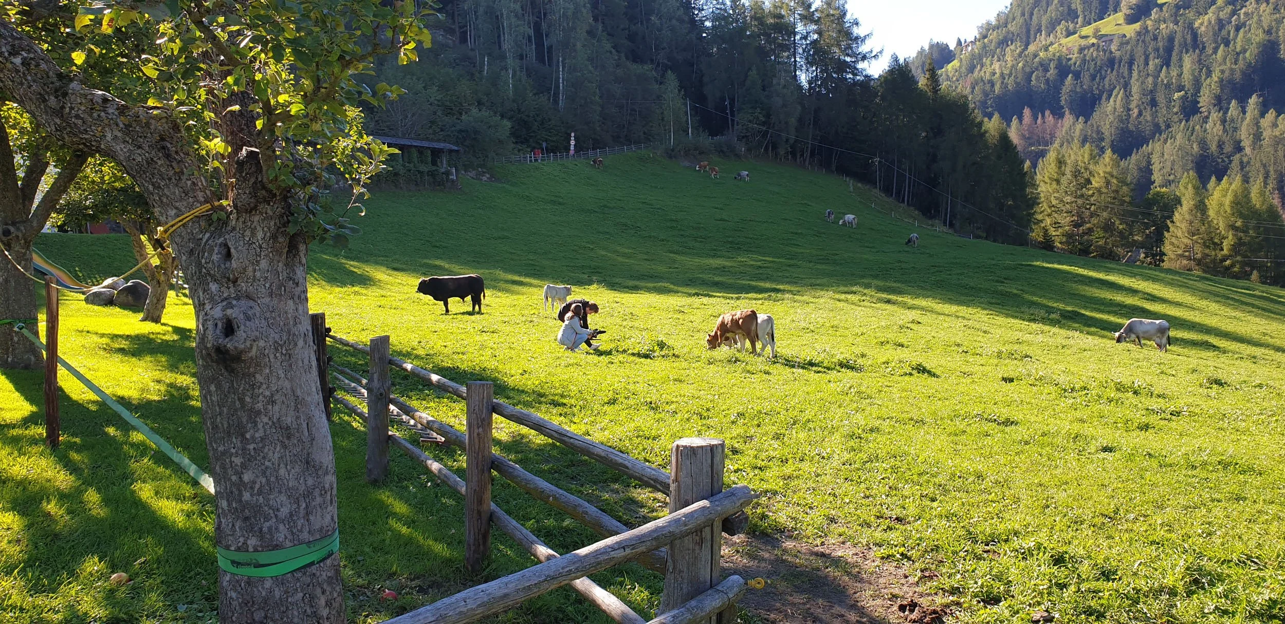landschaft-sommer-urlaub-italien-2.jpg
