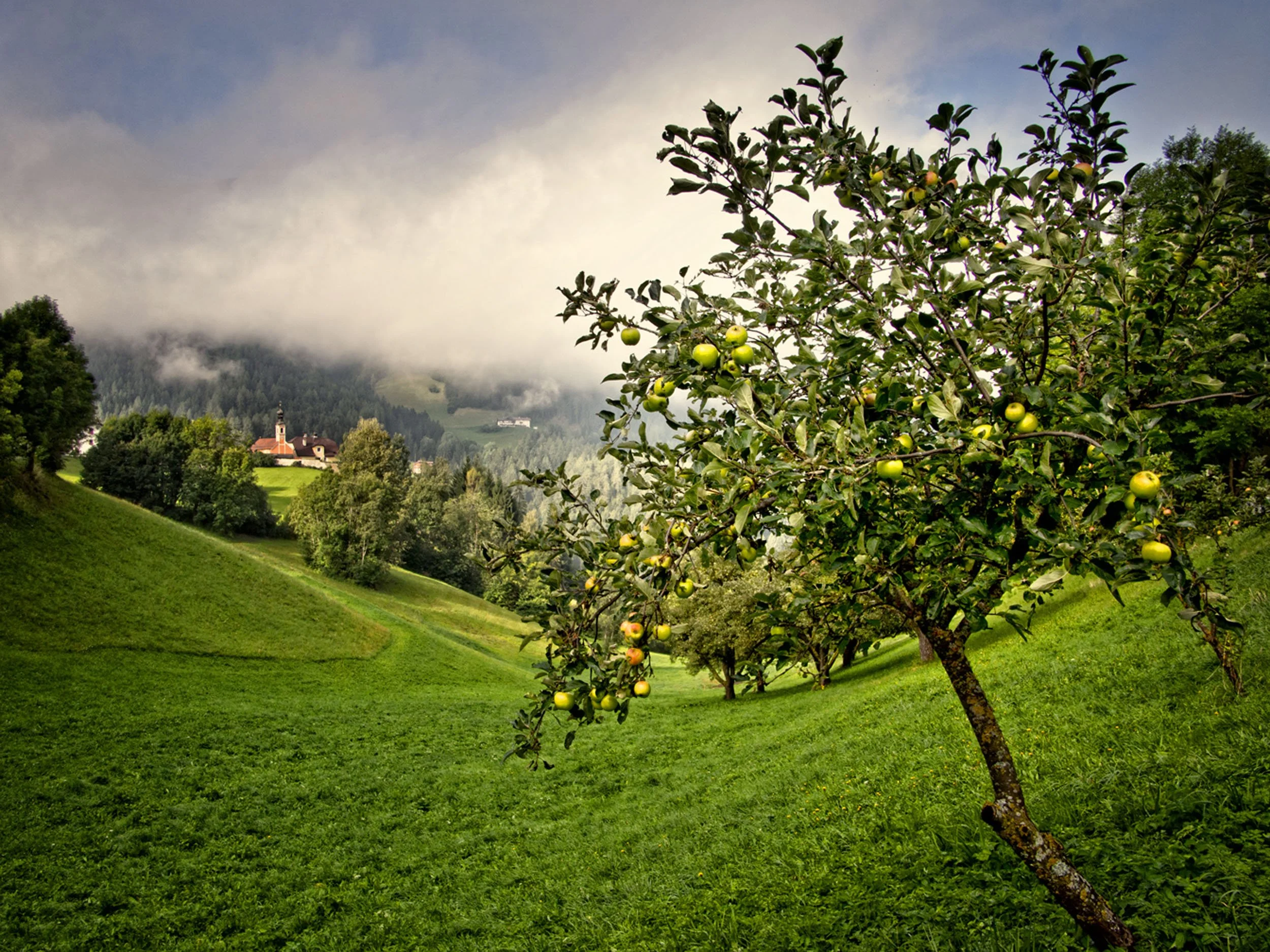 apfelbaum-hotel-suedtirol-maria-saalen-1.jpg