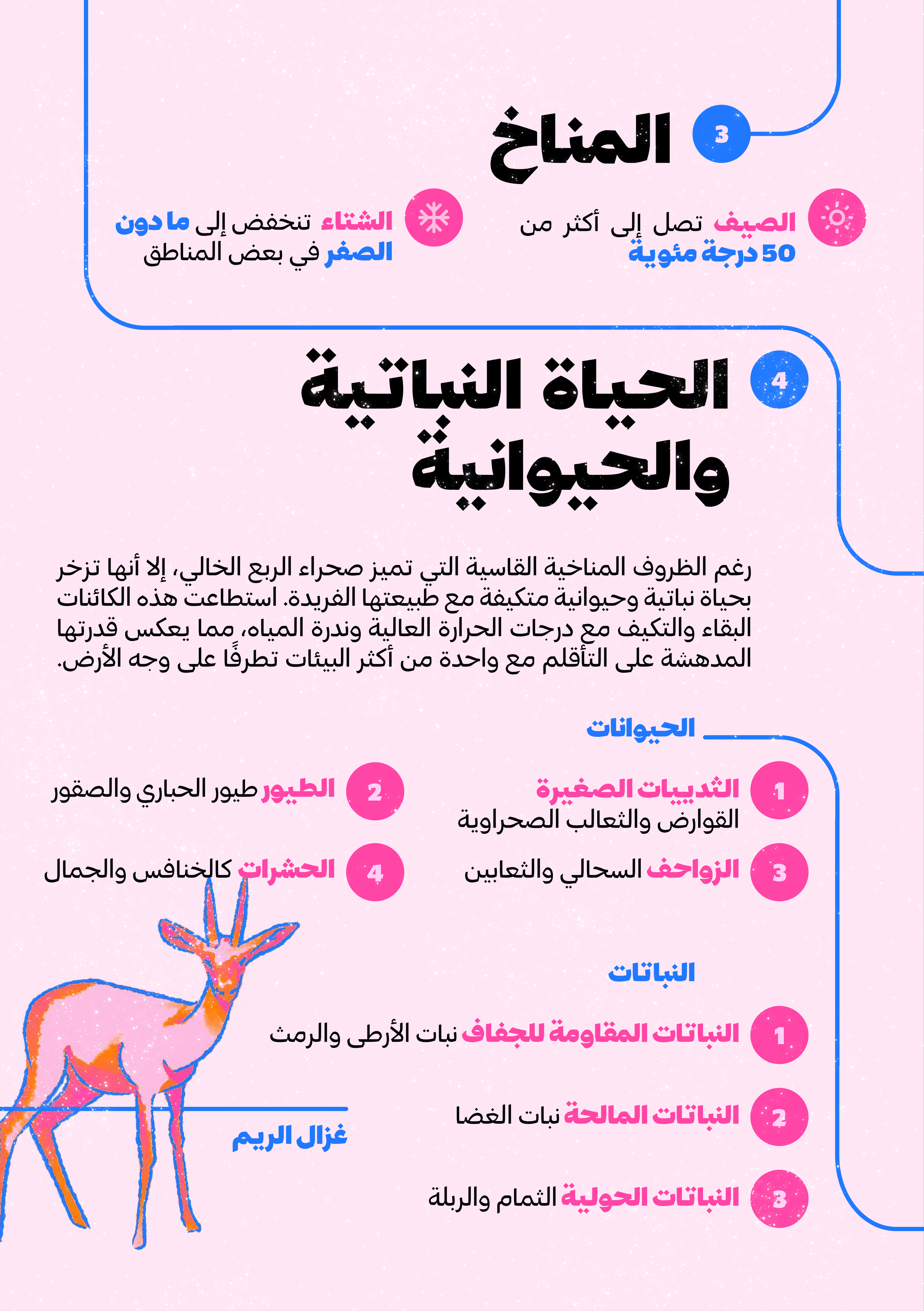 Untitled-1 (16)-13.png