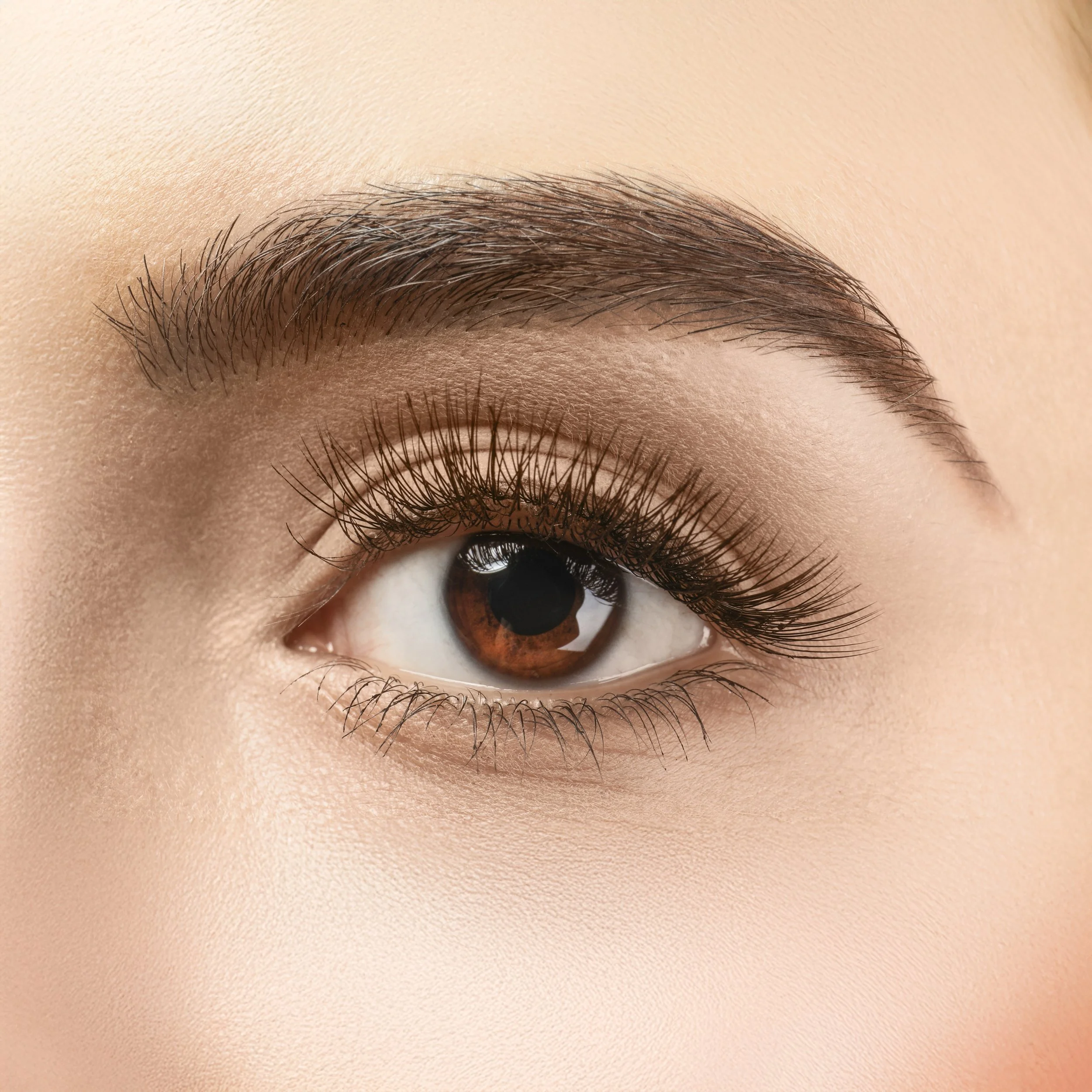 Close-up of a person's eye showing brown iris, long eyelashes, and well-groomed eyebrow.