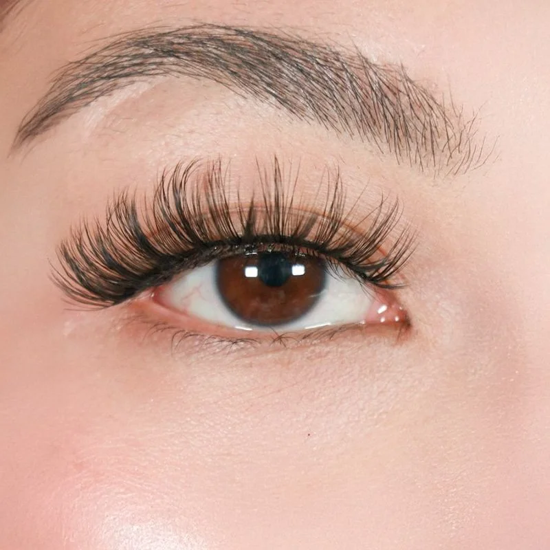 Close-up of a brown eye with long, thick eyelashes and well-groomed eyebrow.
