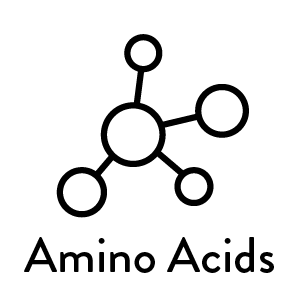 Molecular structure icon labeled 'Amino Acids'