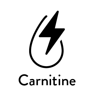 Carnitine icon with lightning bolt logo