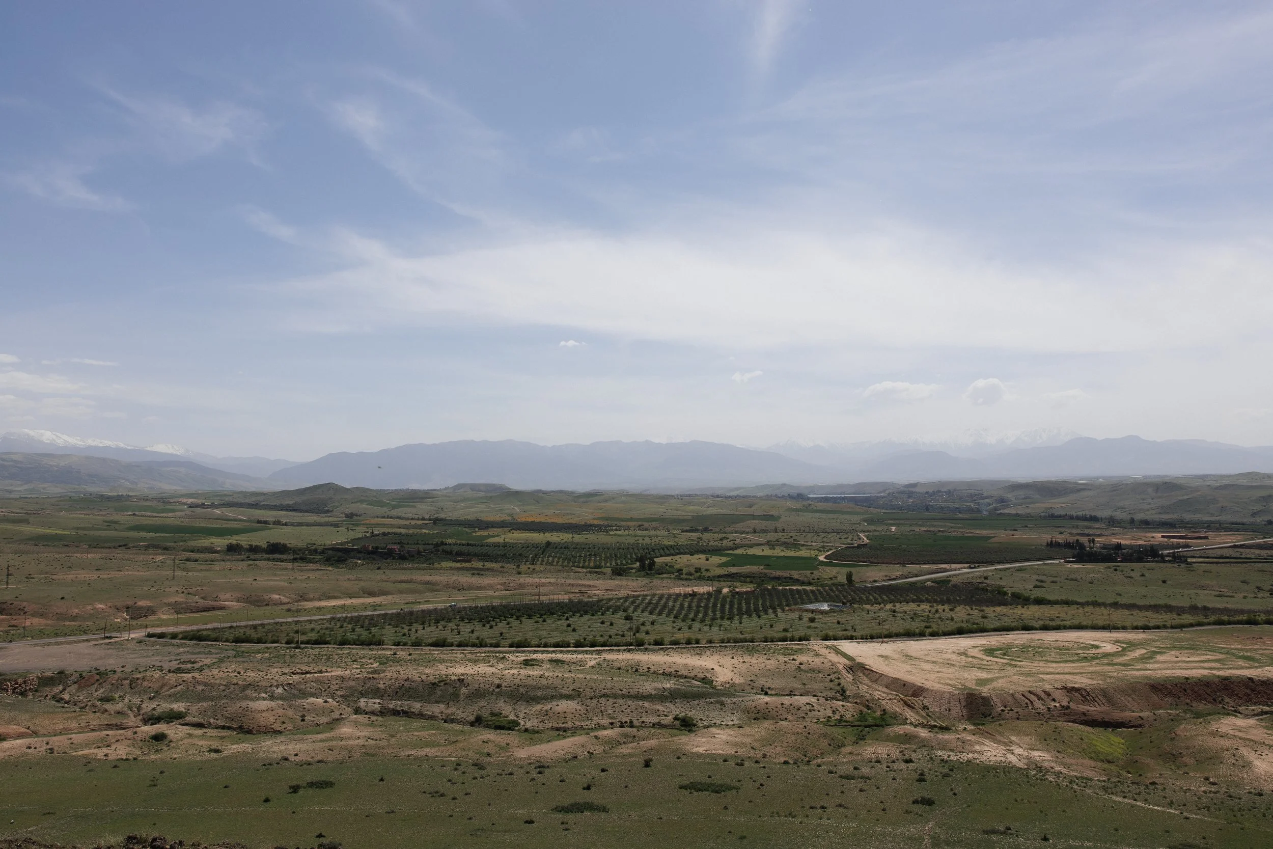 dannikulin-20.jpg