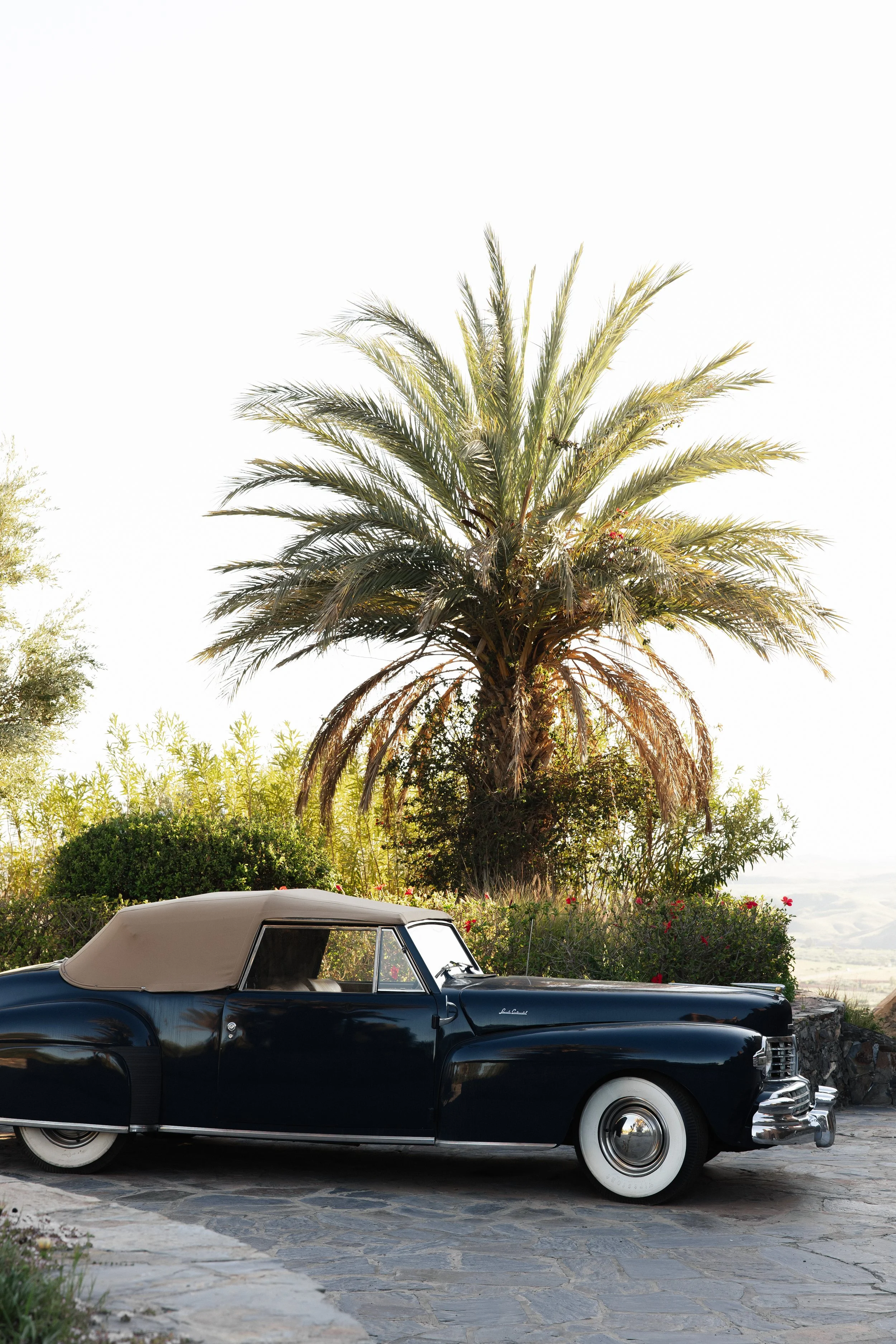 dannikulin-83.jpg