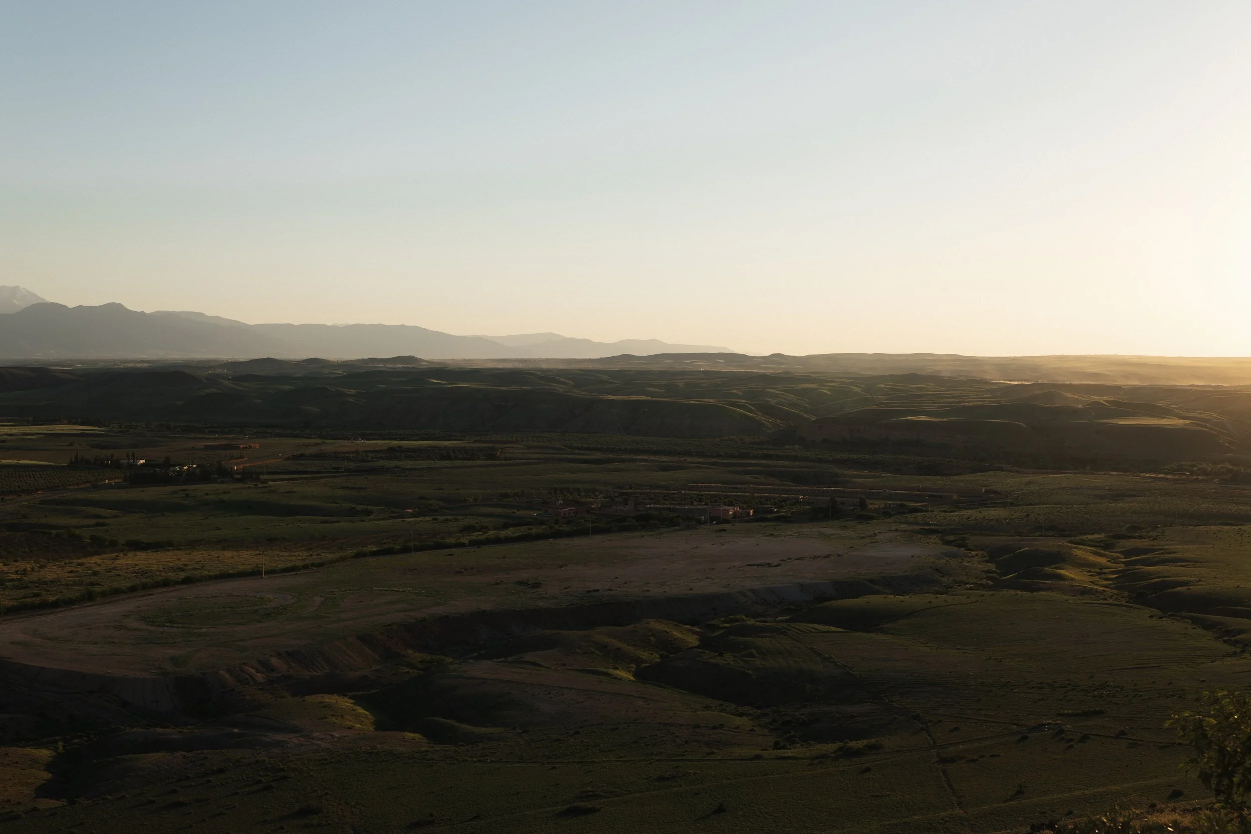 dannikulin-169.jpg