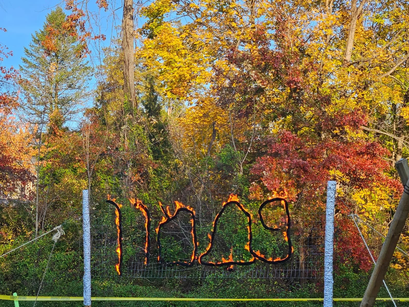 WhatsApp Image 2025-11-03 at 4.01.38 PM.jpeg