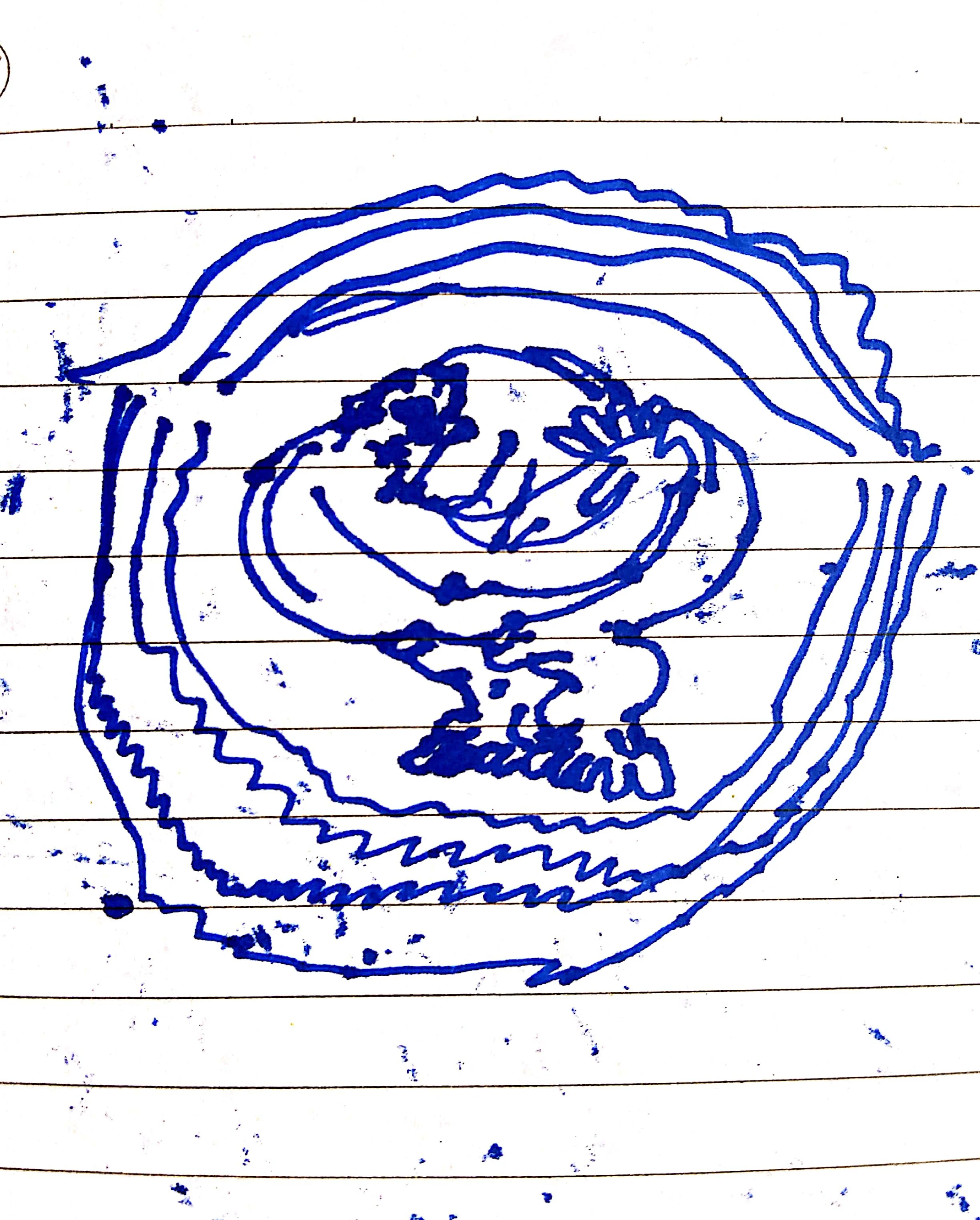 CamScanner 11-03-2020 15.58.30_2.jpg