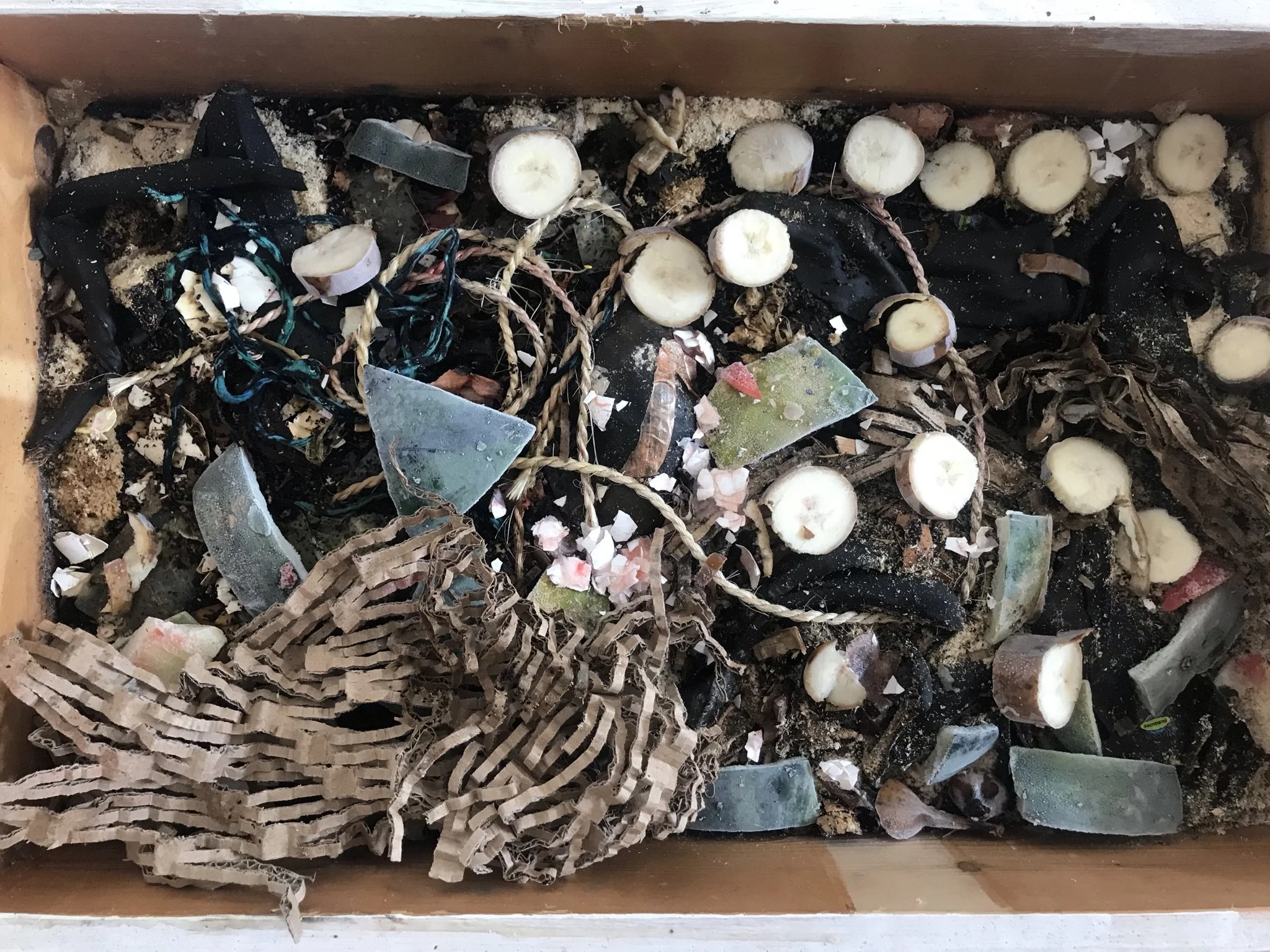 Compost Landscape Painting: Non-EU + Worm Garden