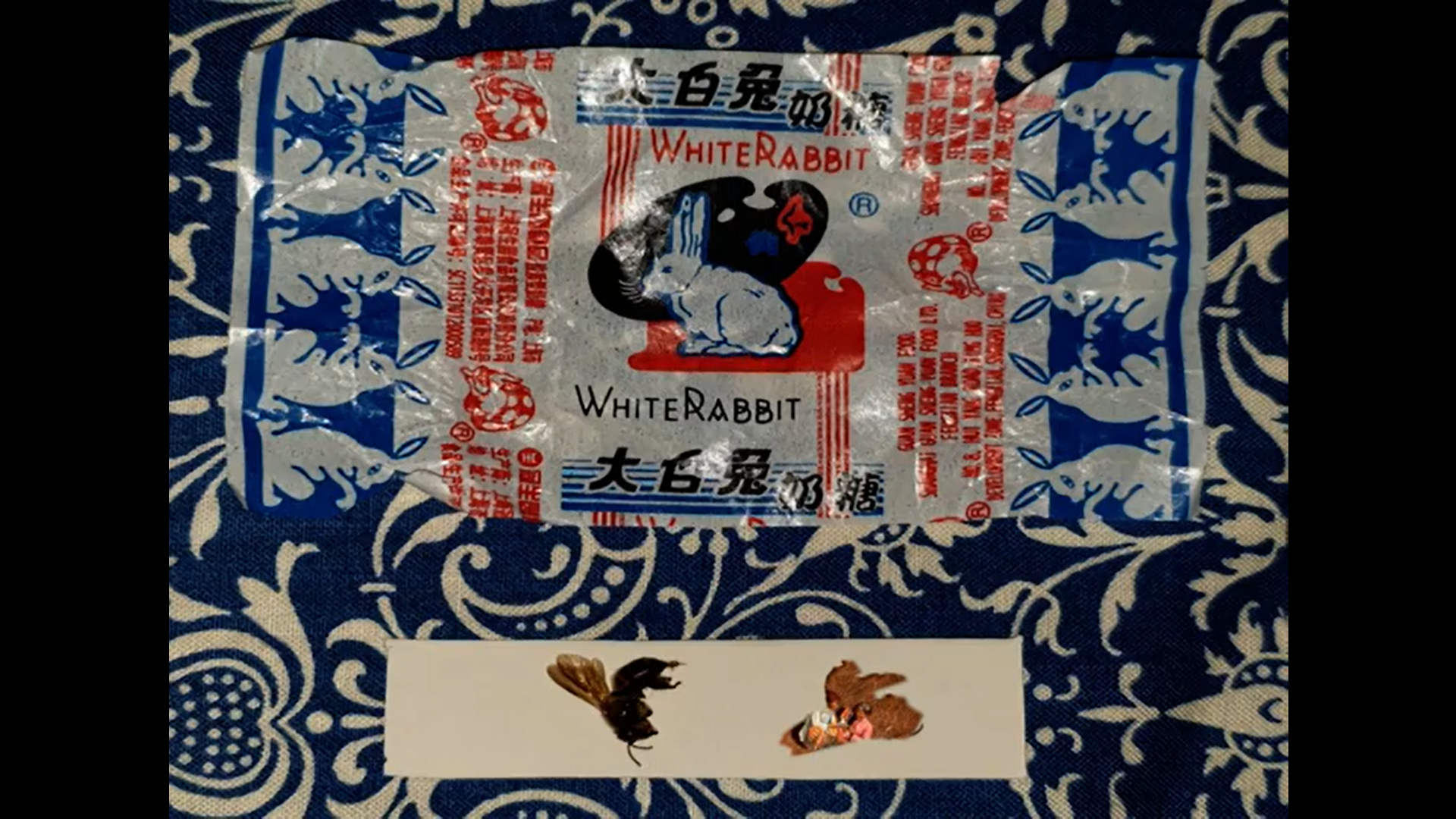 Strange Garden (Film)