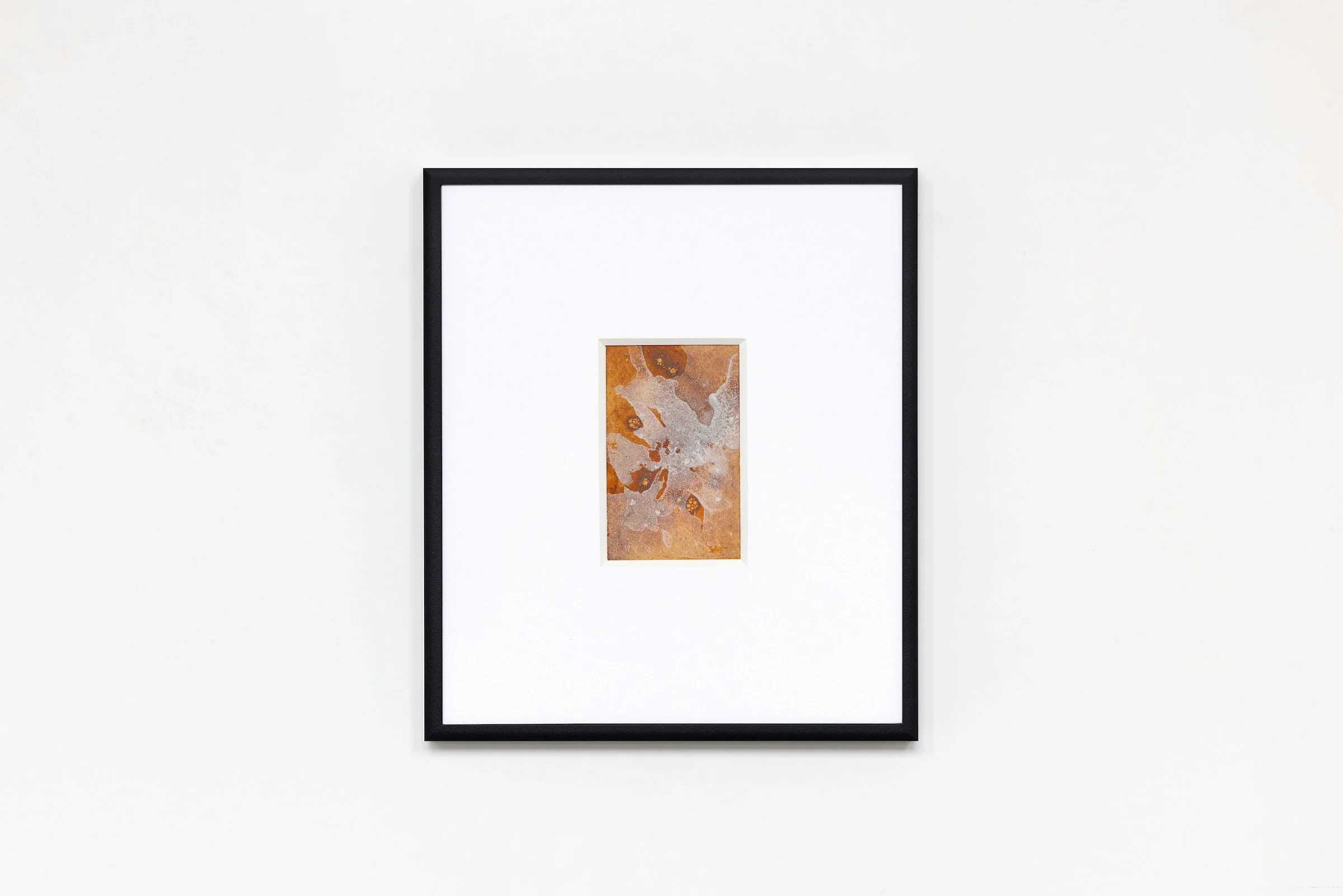 Echoes of the Land Study II.JPG