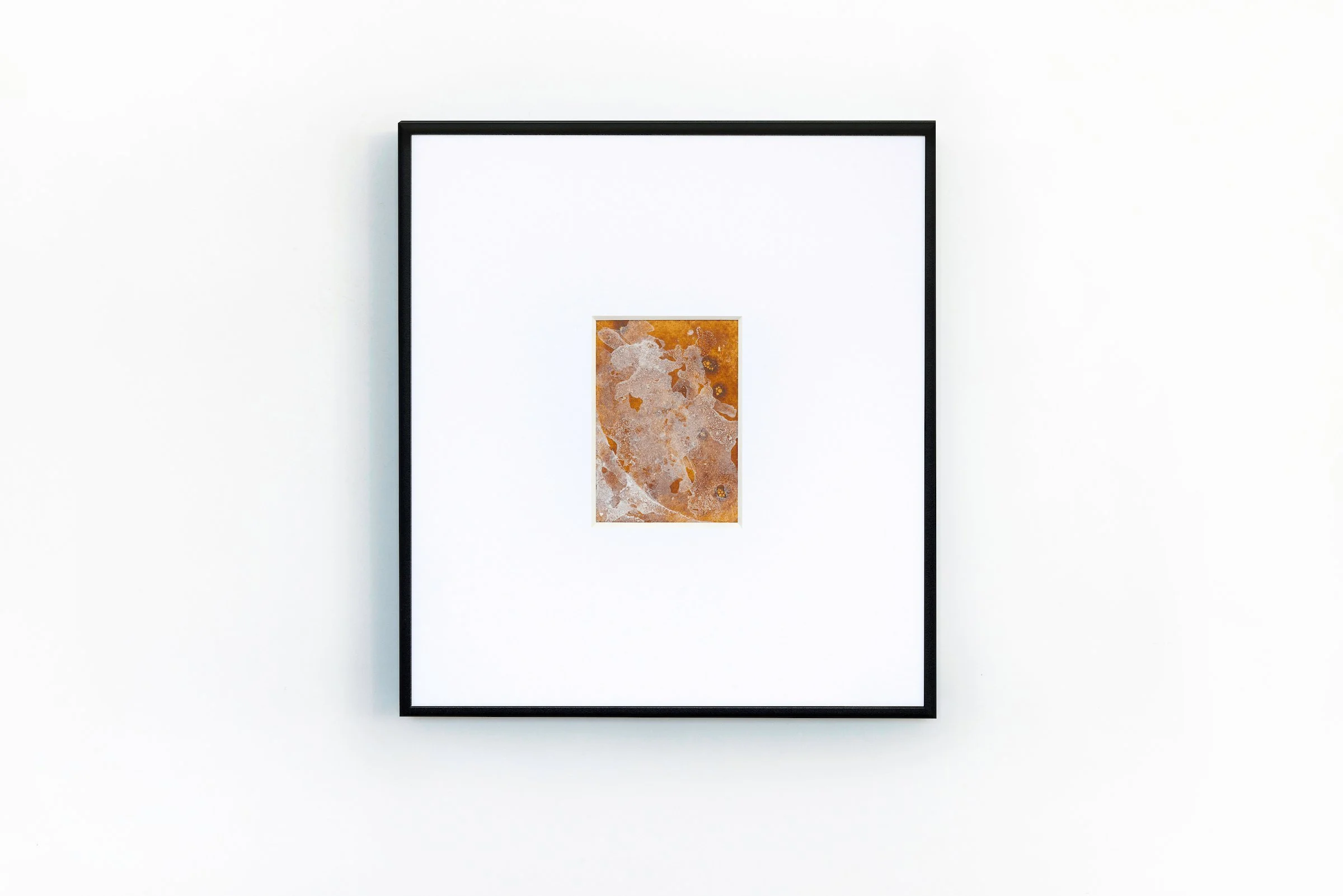 Poppy_ArtFair_2025_100B.JPG