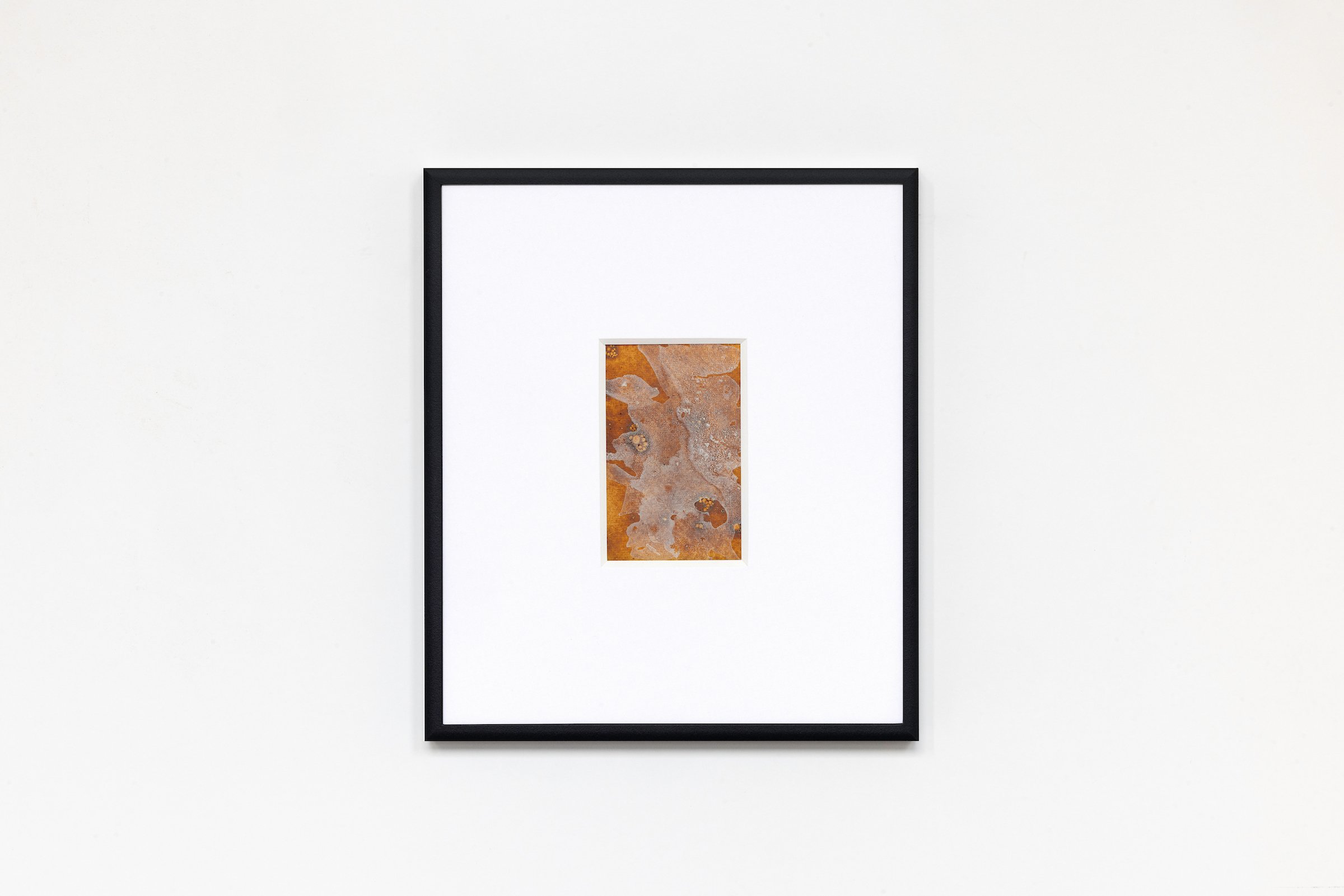 Echoes of the Land Study VI.JPG