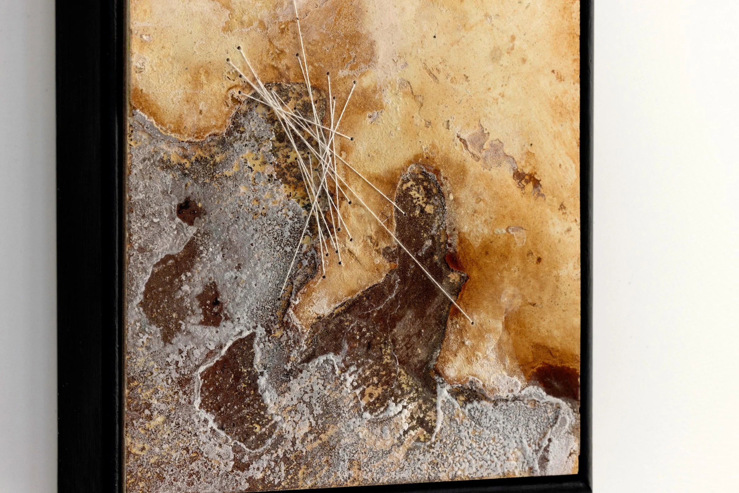 9. Poppy Lennox 'Echoes of the Land IX', Plaster, liquid rust, copper powder, crystallised salt and pure silk thread on wood, 21 x 16 cm, 2024 Image © Demelza Lightfoot_close up.JPG
