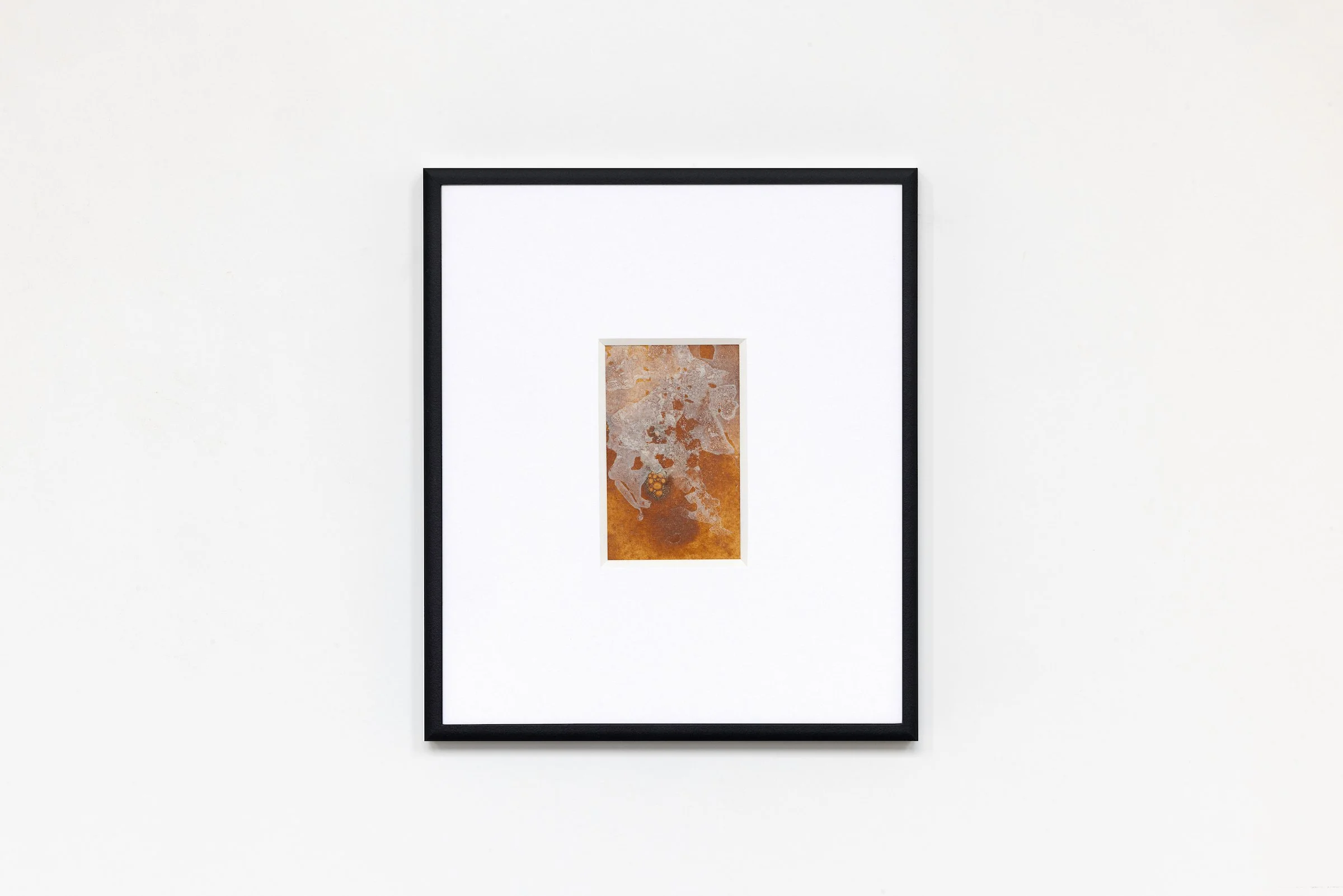 Echoes of the Land Study III.JPG