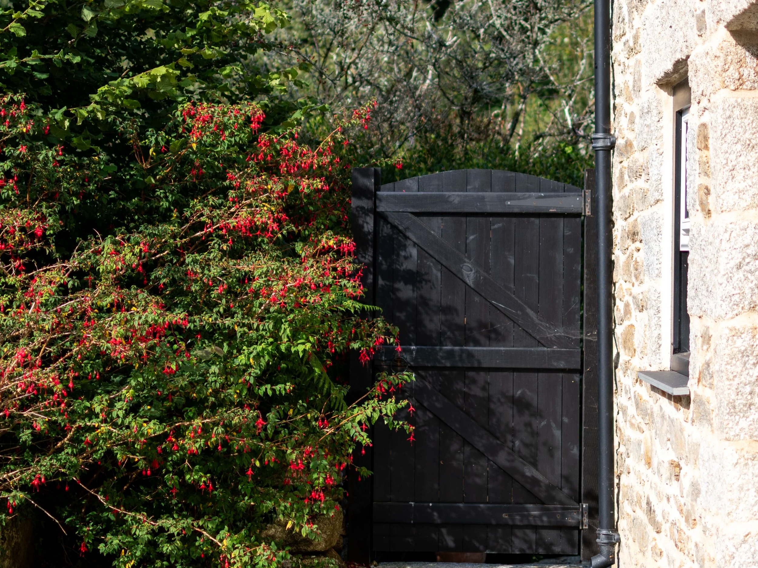 A black wooden gate beside a stone wall with a small window, partially covered by green foliage and red flowers.