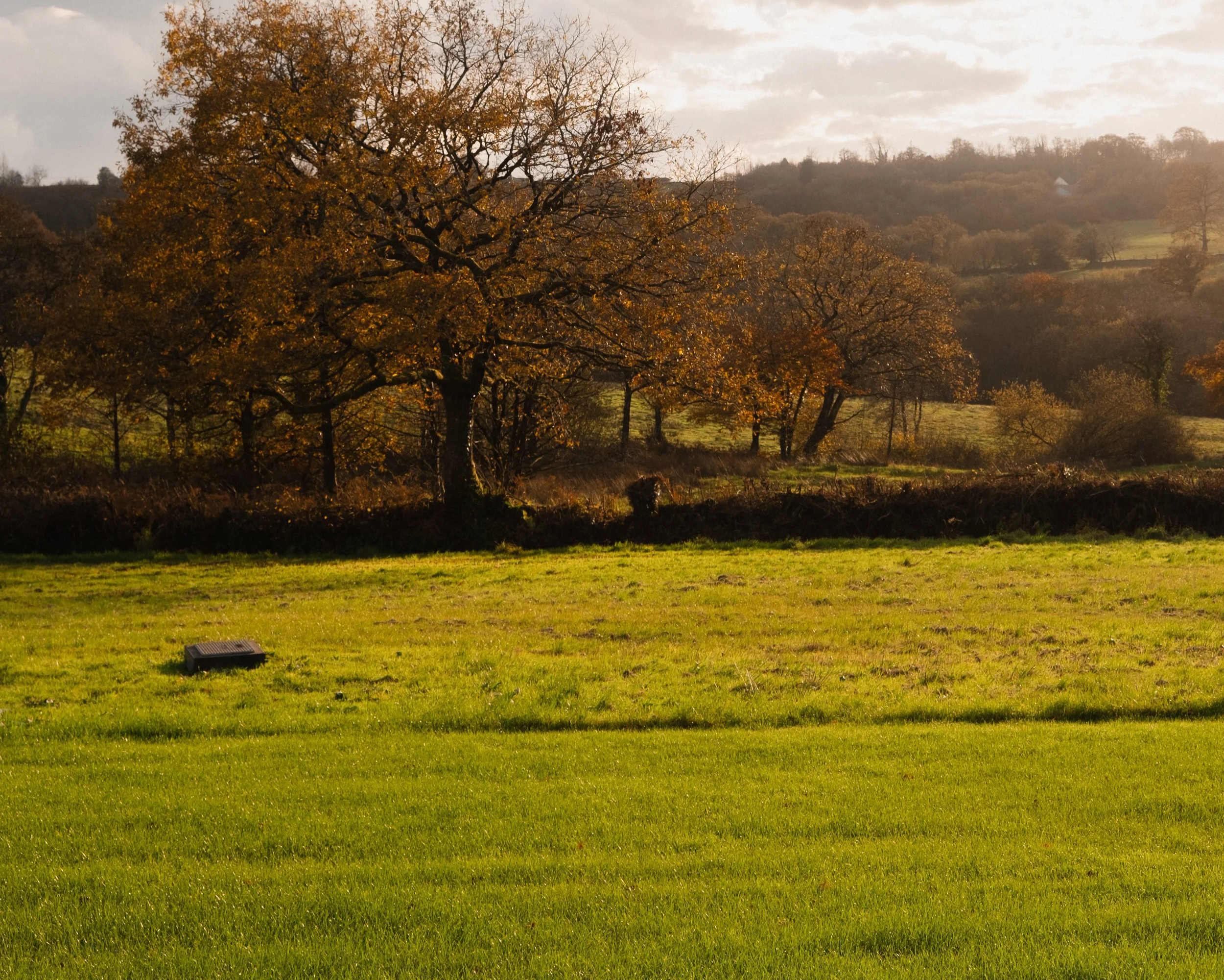 Step out into 60 acres of rolling North Devon countryside, where time stretches and the world feels wonderfully far away.