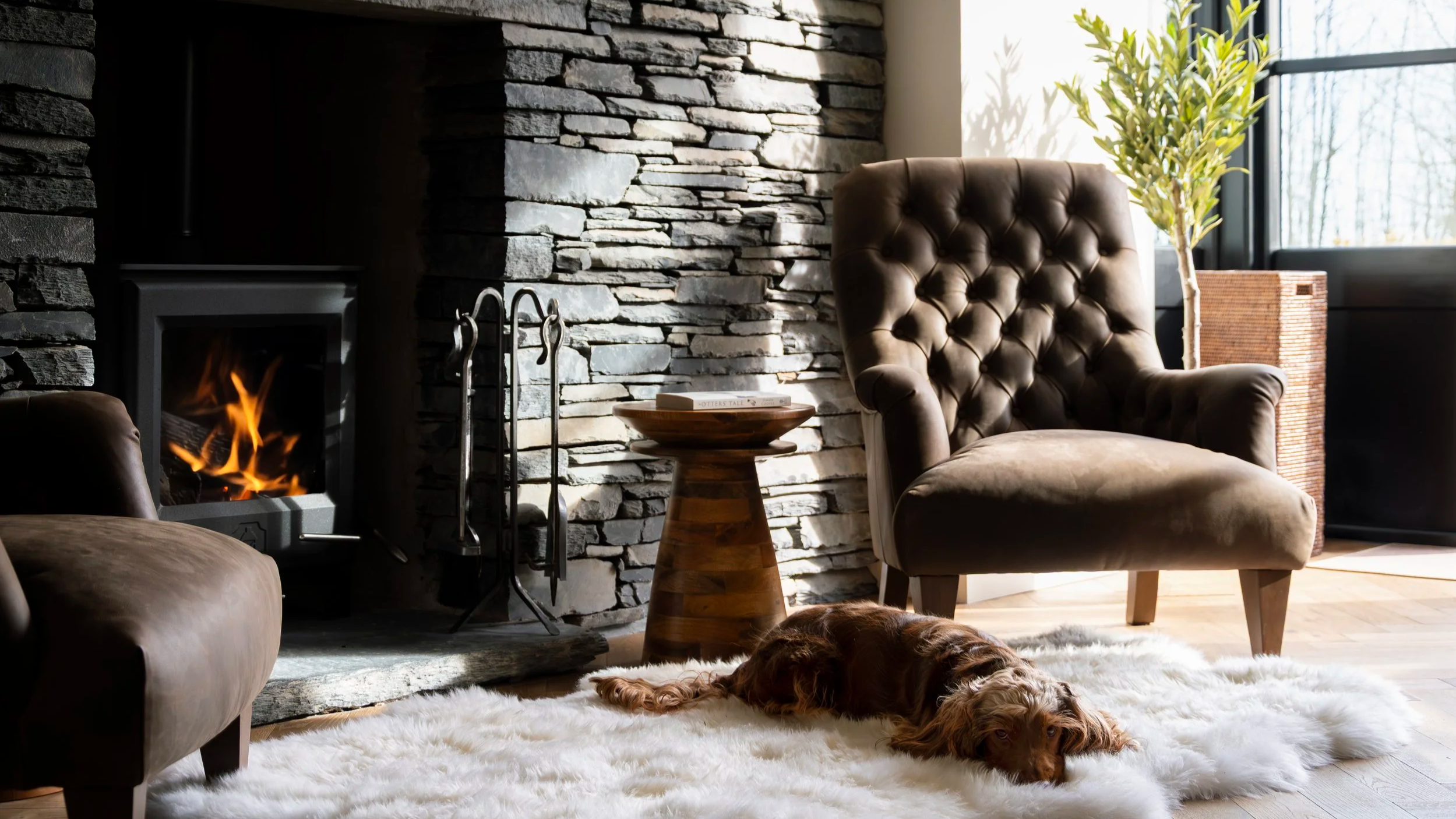 a cosy corner invites you to unwind, where soft textures, warm tones and a contented dog resting nearby complete the scene.
