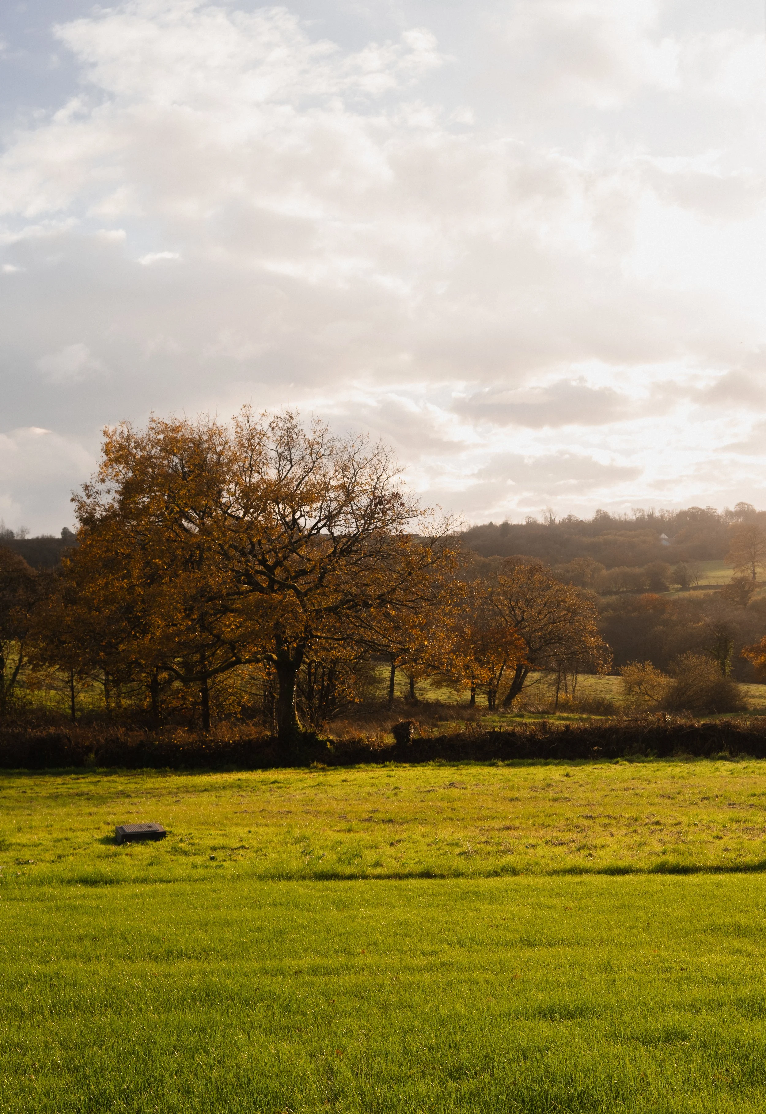 sixty private acres of rolling fields and ancient woodland unfold in every direction, creating a rare sense of total seclusion, uninterrupted views, and deep countryside calm, with no neighbouring properties or farm activity.