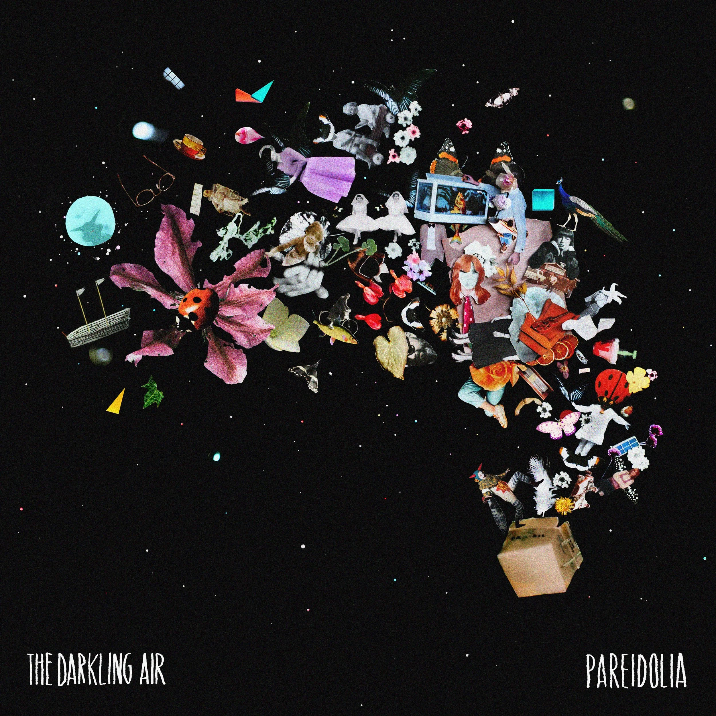 The Darkling Air - Photo Collage