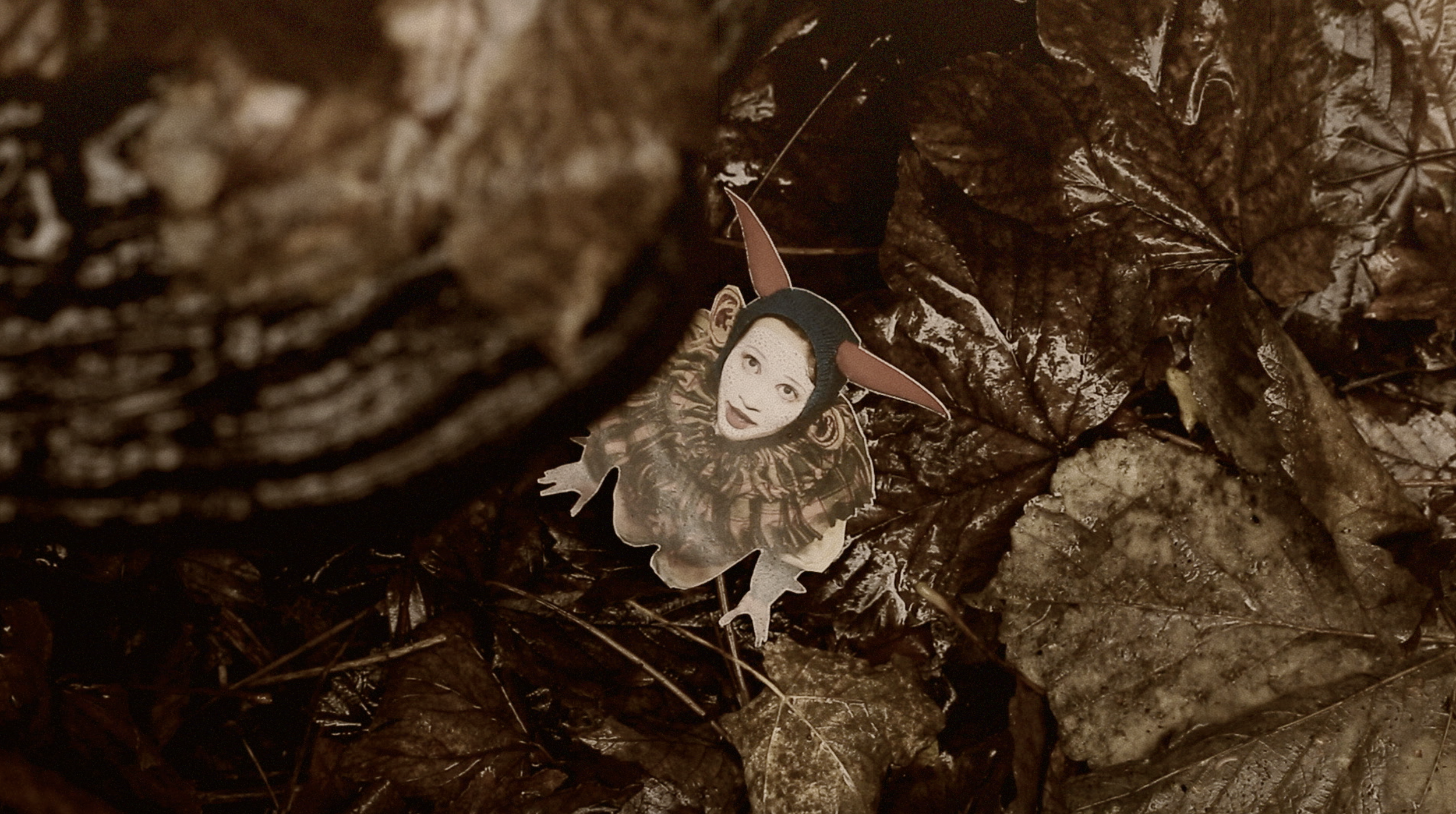 Screenshot 2026-02-17 at 14.35.49.png