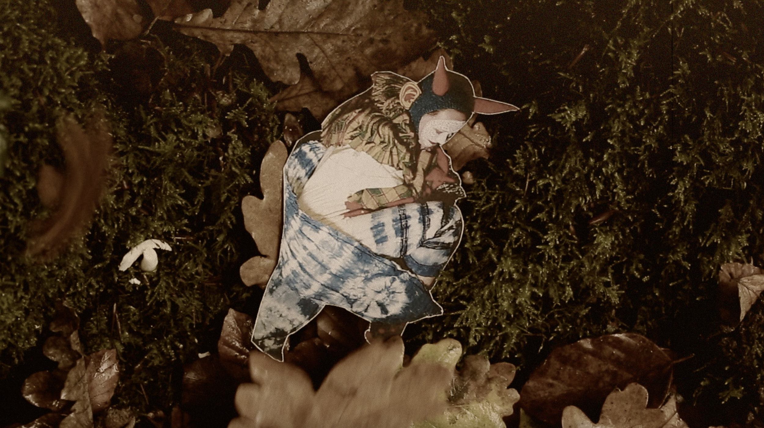 Screenshot 2026-02-17 at 14.34.32.png