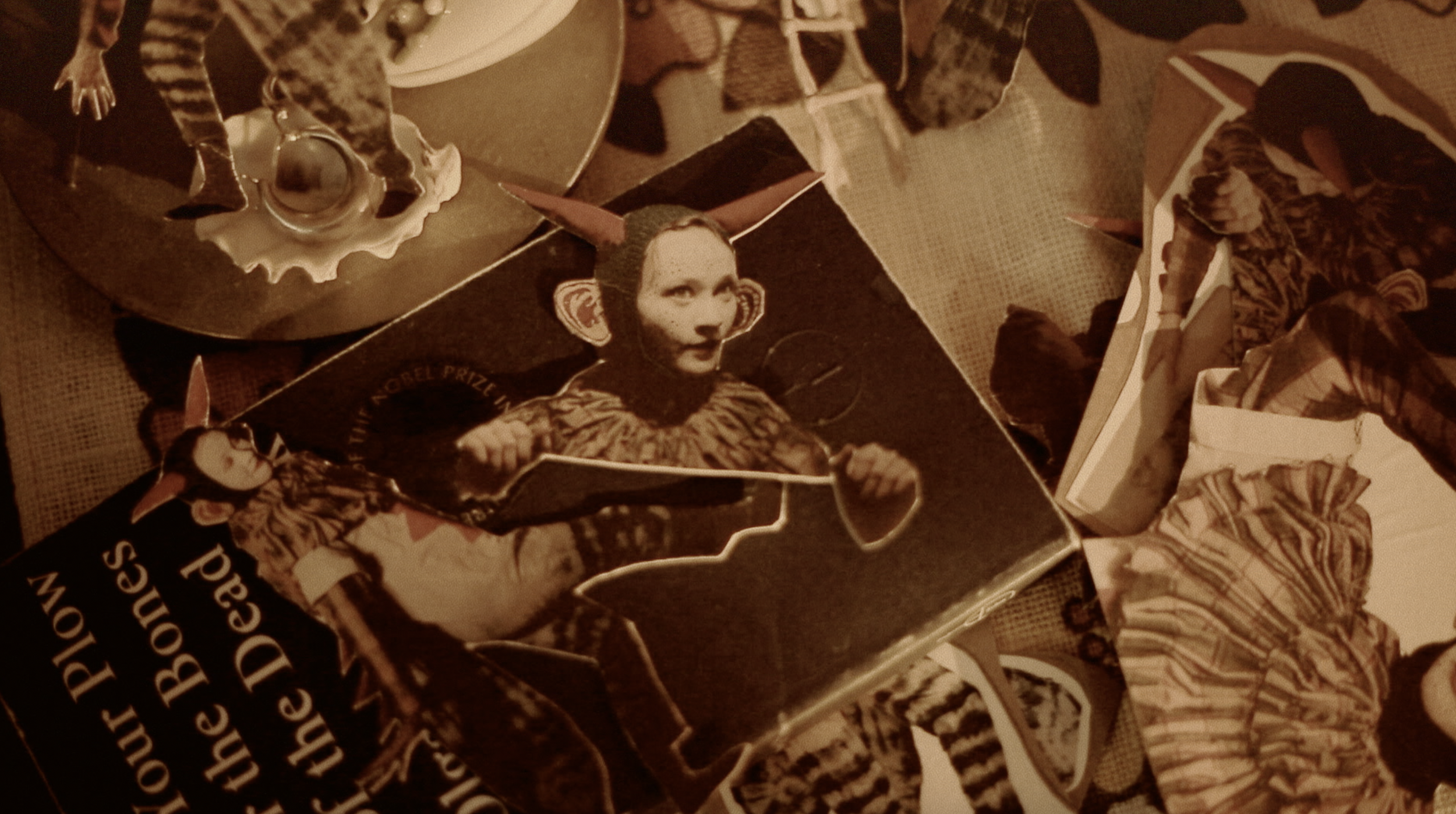 Screenshot 2026-02-17 at 14.43.24.png