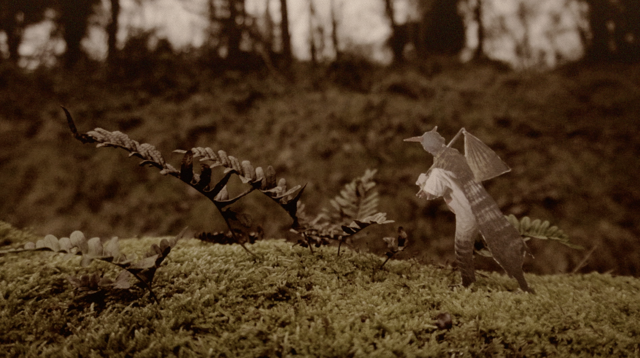 Screenshot 2026-02-17 at 14.34.53.png