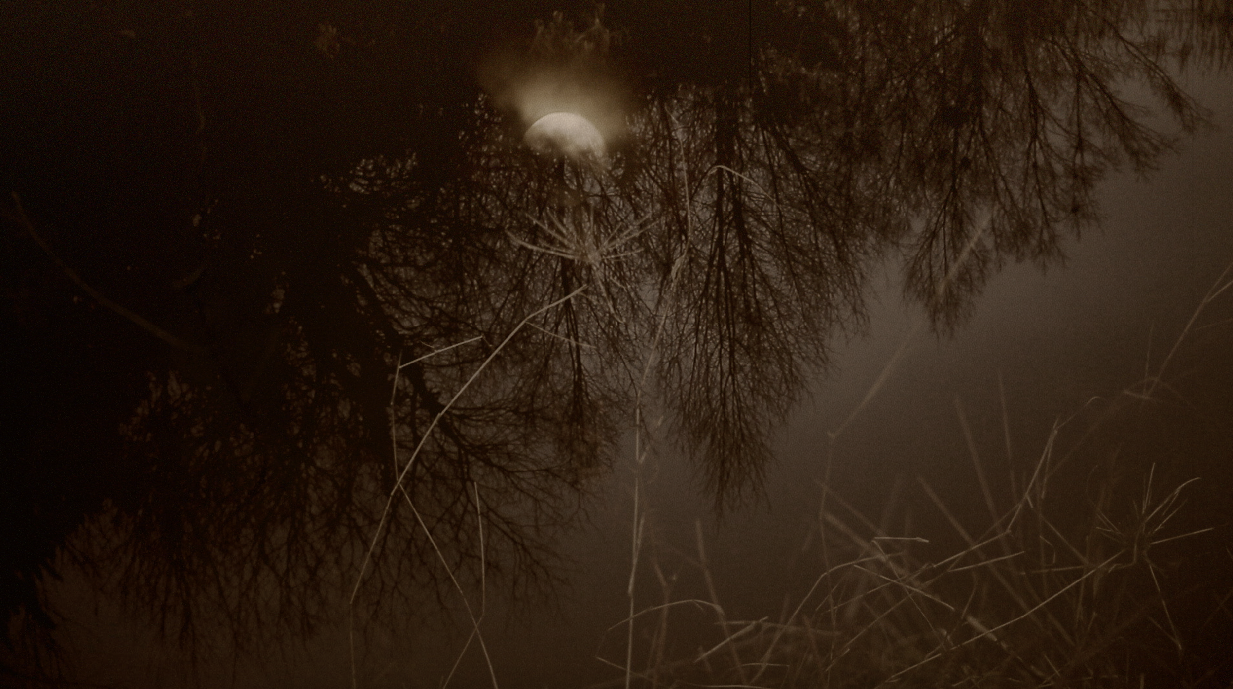 Screenshot 2026-02-17 at 14.36.18.png