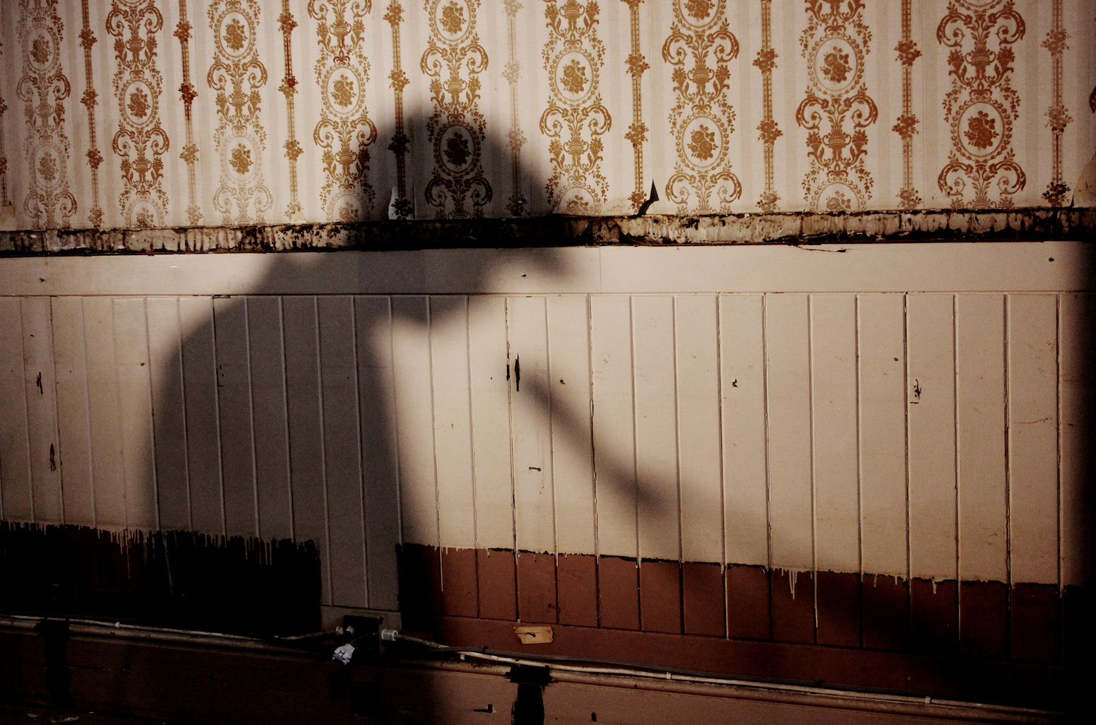 Florentina Paddy Boyd's shadow on the original paper during The Court House Sessions