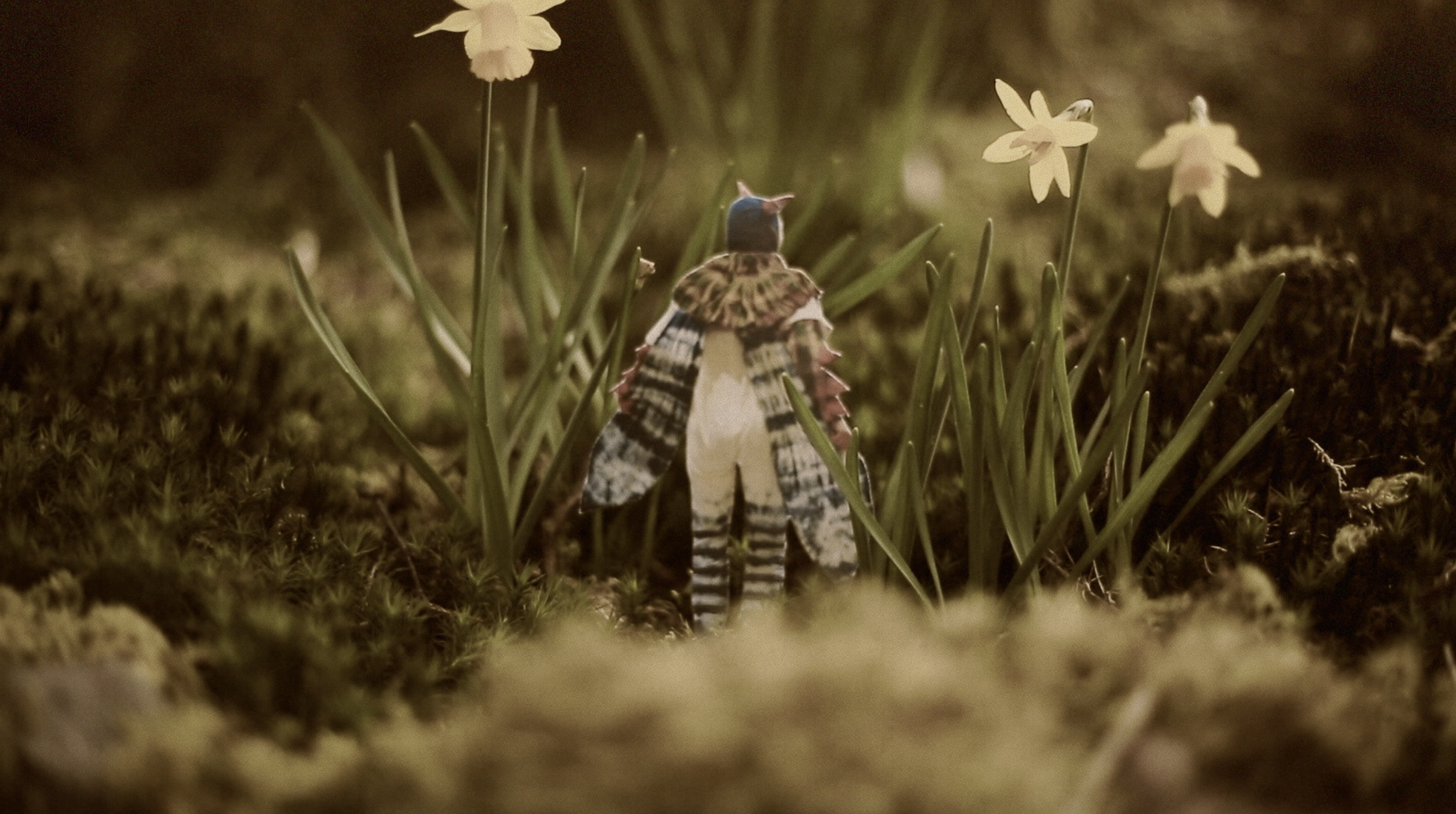 Screenshot 2026-02-17 at 14.35.12.png