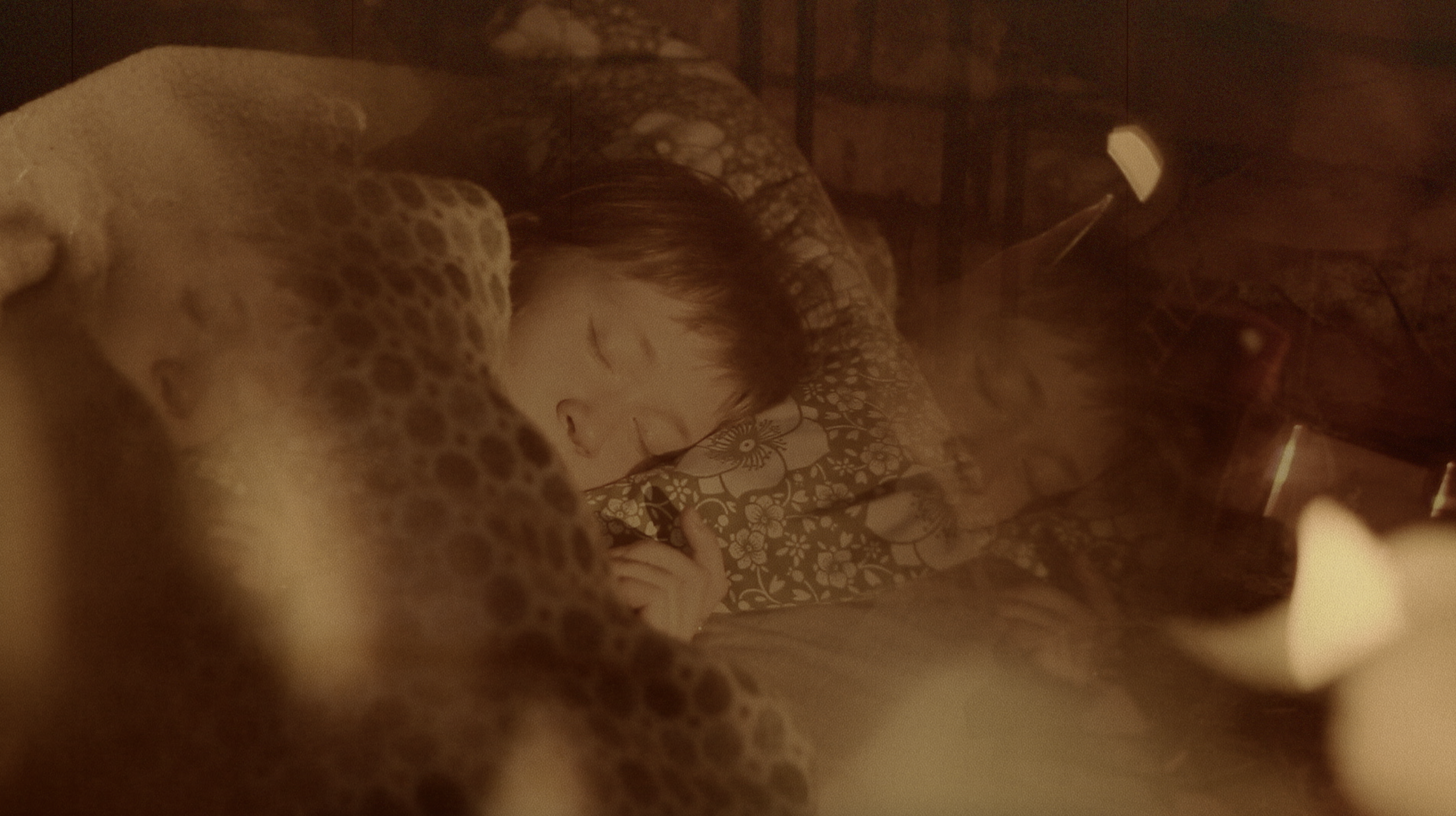 Screenshot 2026-02-17 at 14.42.57.png