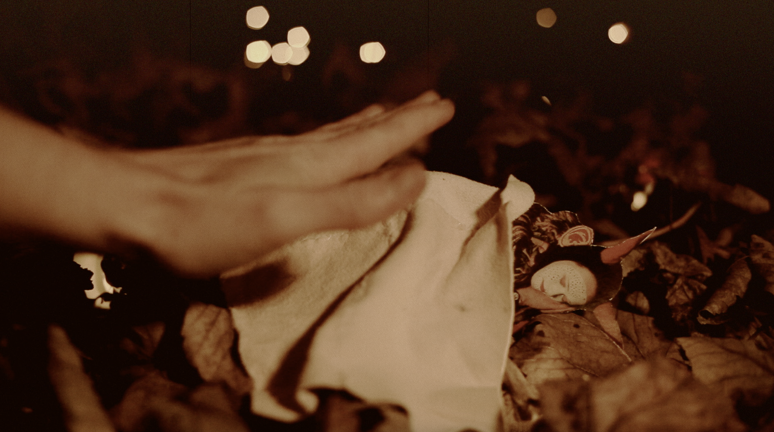 Screenshot 2026-02-17 at 14.42.16.png