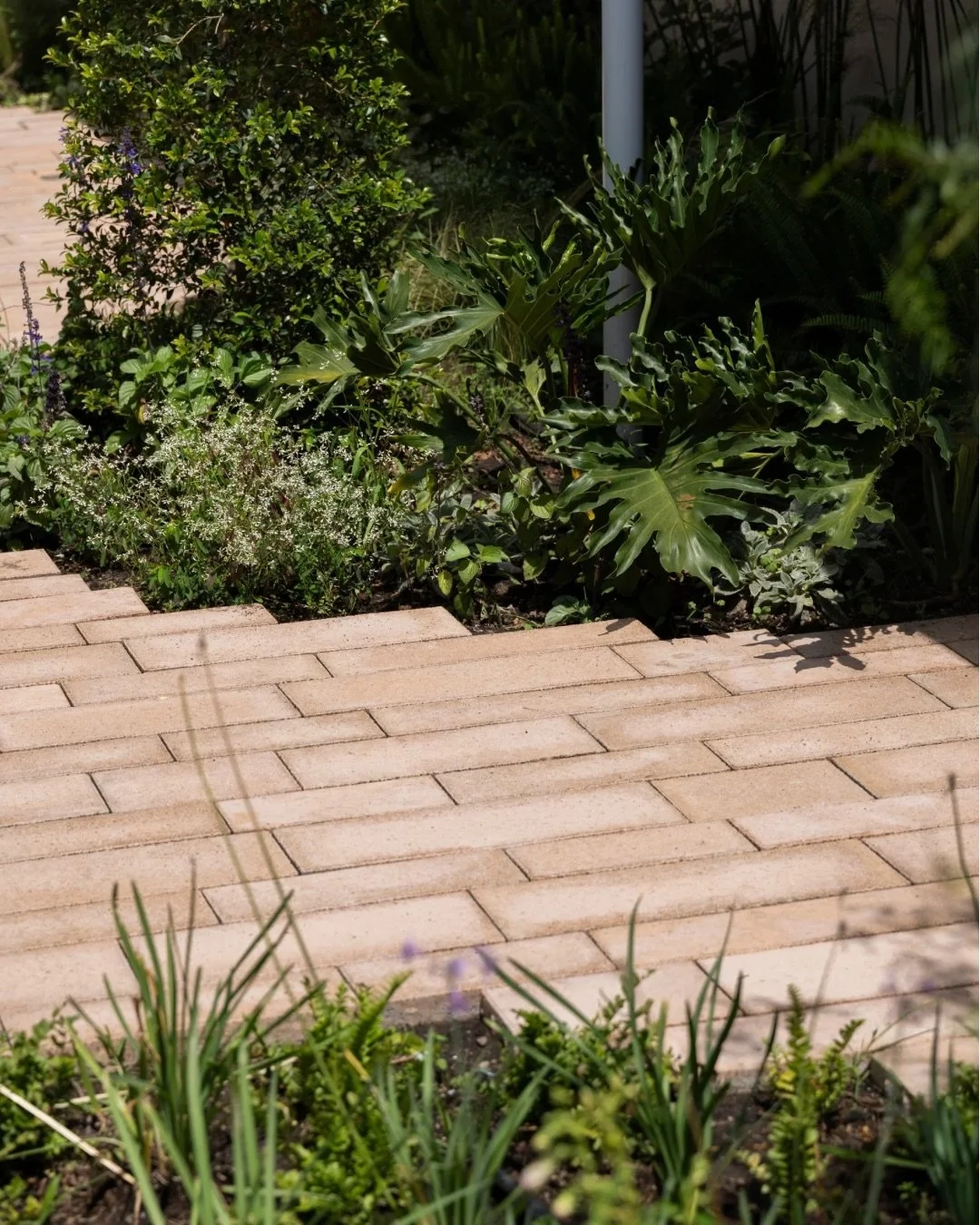 Explorando los pasillos verdes del APCH desde la mirada de los ni&ntilde;os 🌿

El objetivo de estos pasillos fue volver a despertar el asombro en los alumnos a partir de un solo elemento: la naturaleza.

Diferentes tipos de plantas muestran geometr&