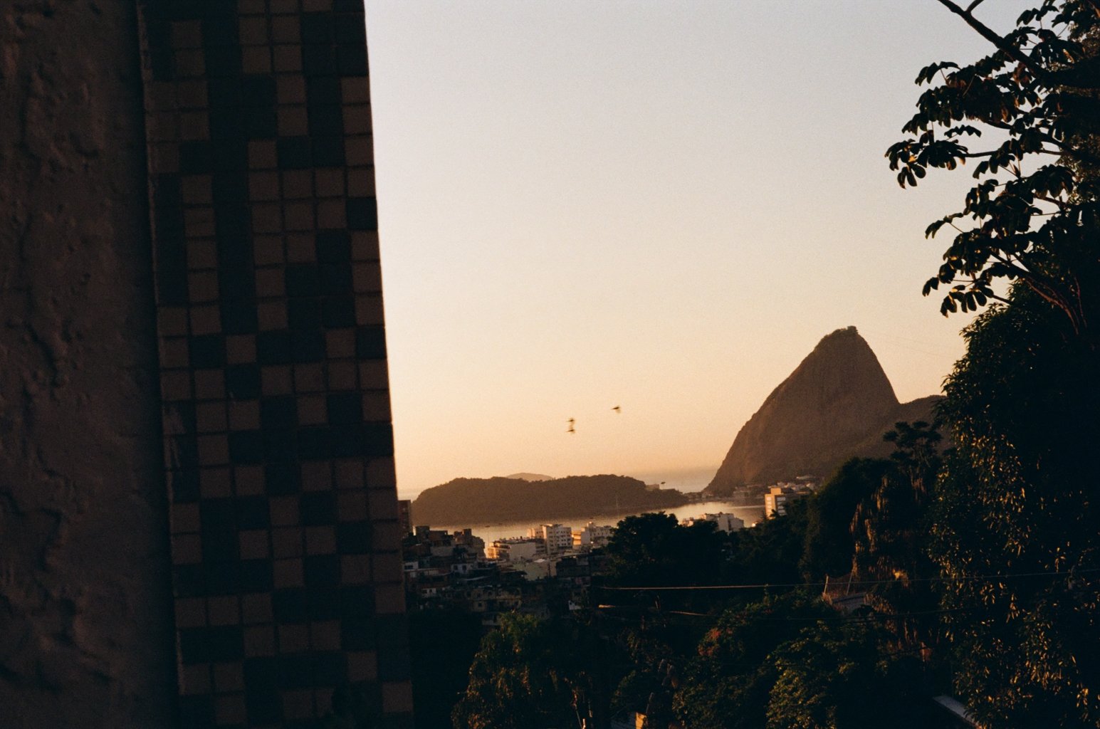 Sunset view of Sugarloaf Mountain with trees in the foreground and birds flying in the sky.
