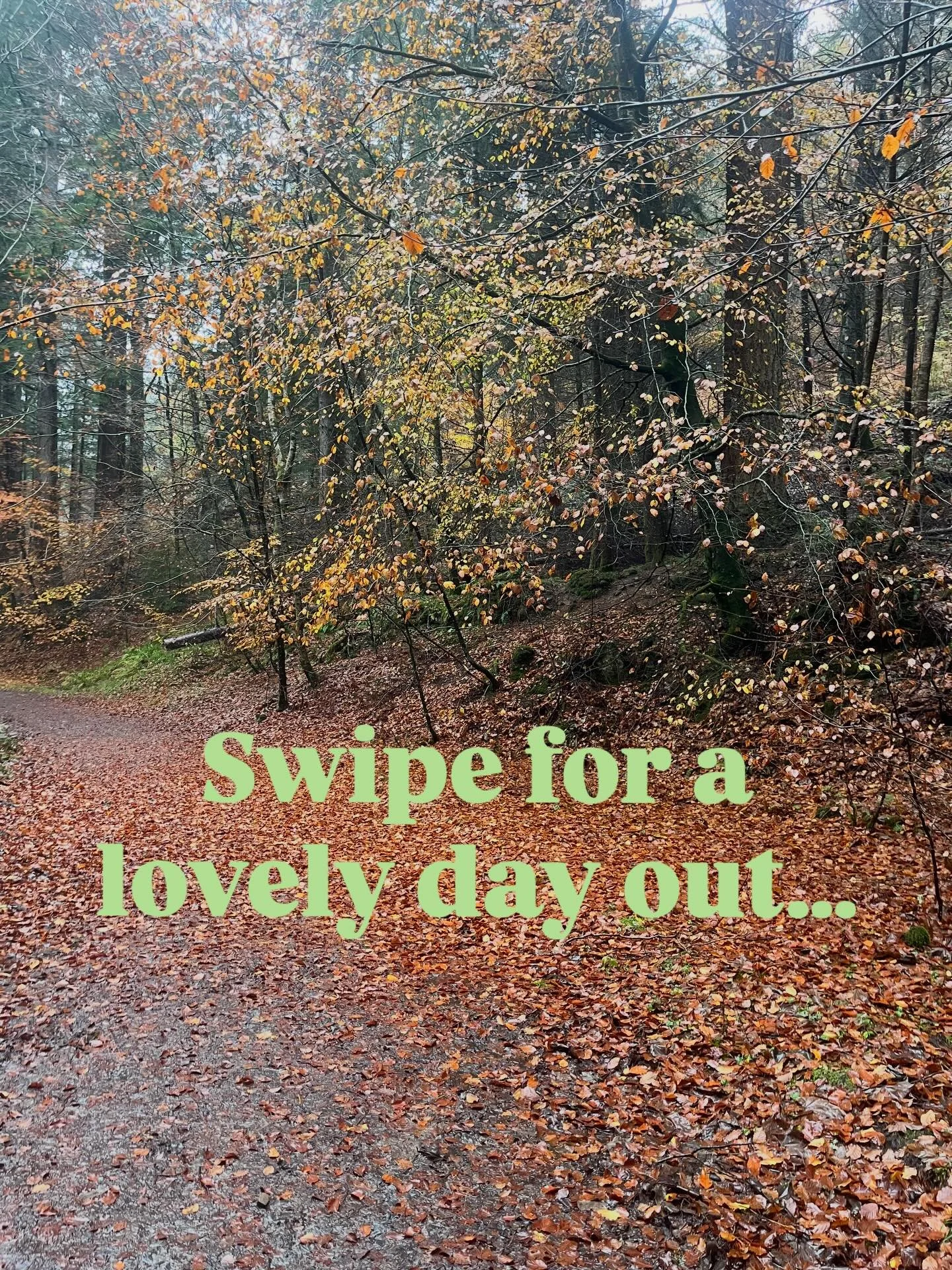 A perfect day out ends at @leithdepot138 with @caseythebirk @stuarthoneymanguitar and @adowabouttown bringing you delightful songs melodious Melodie&rsquo;s and guitary guitar. 

Tickets in our bios!