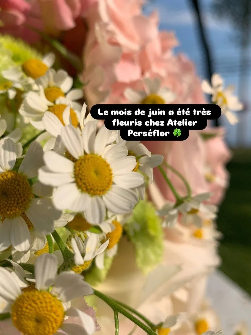 Juin en photo 💕🌸☀️ 

#photodump #june #juin #fleurs #fleurss&eacute;ch&eacute;es #perseflor #atelierfloral #ateliercreatif #creativite #flowerlover