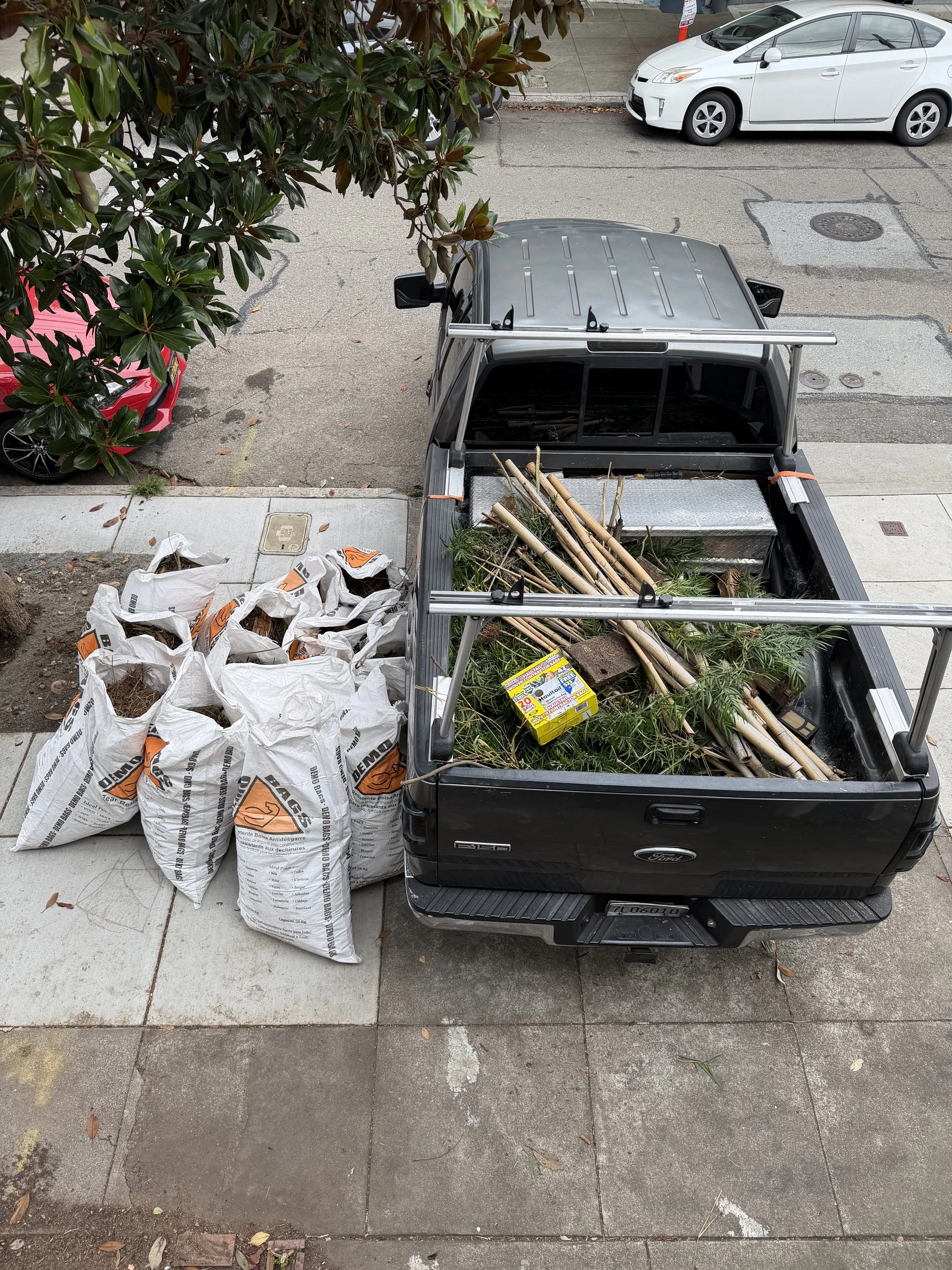 Junk removal 02.jpeg