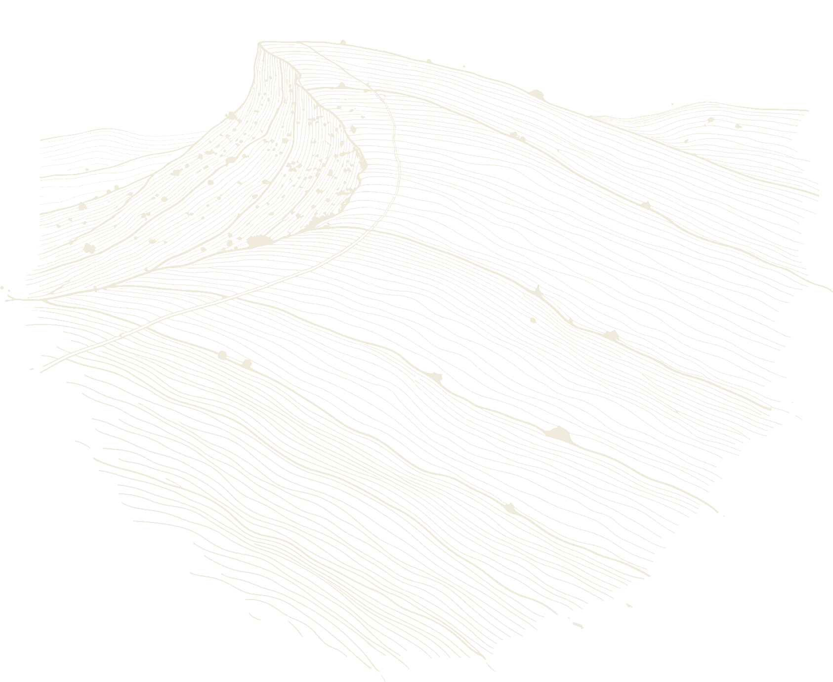 Line drawing of a topographic map with contour lines.