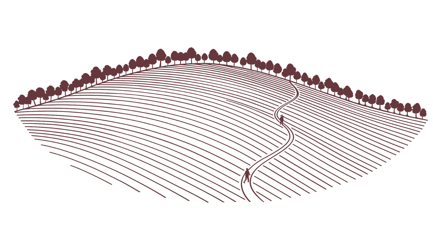 Founding and selling di:ga and mentoring new CEO