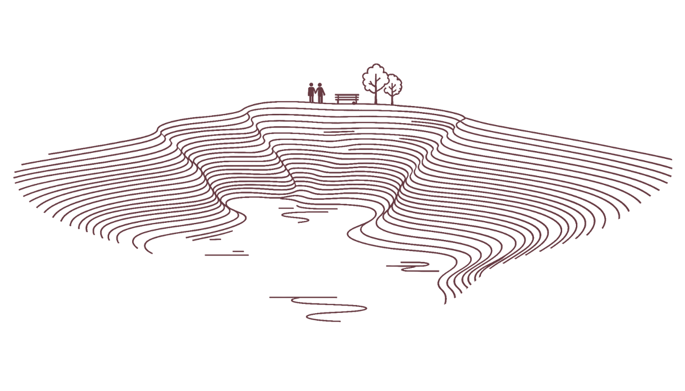 Communicating complexity for Chatham House