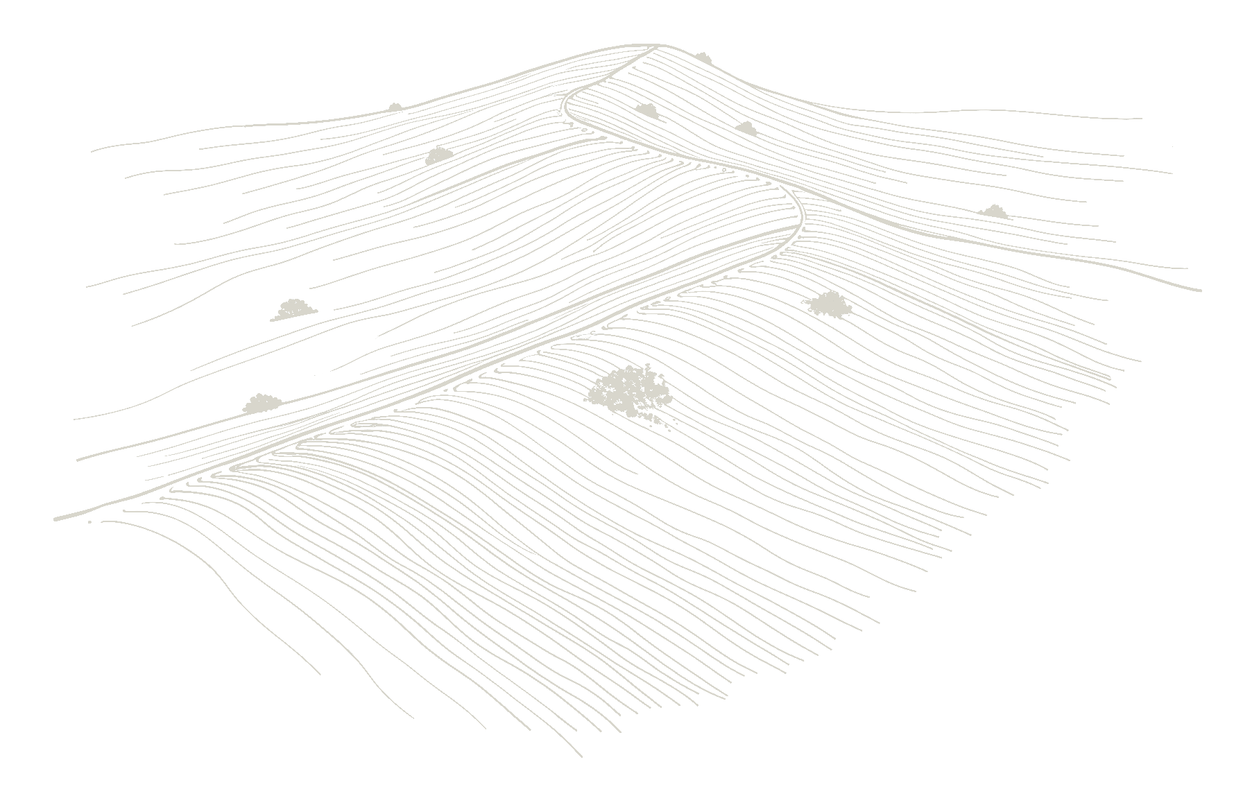 A black and white topographic map of hilly terrain with contour lines and sparse trees.