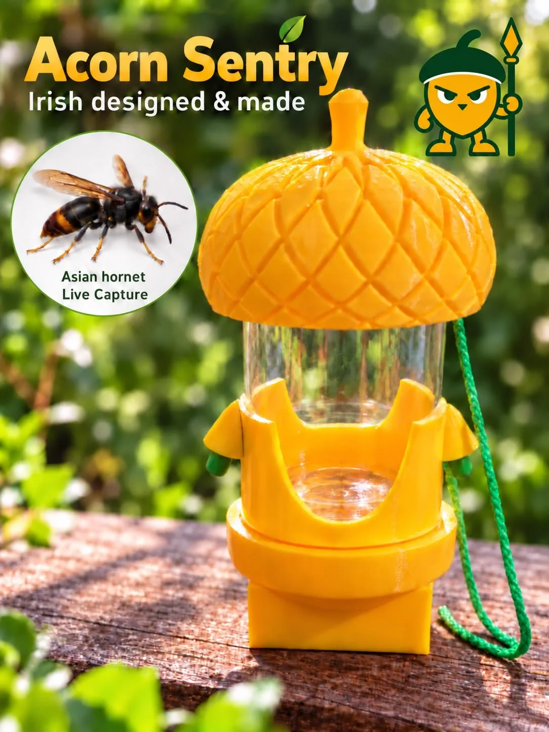 Acorn Live Capture Hornet Trap
