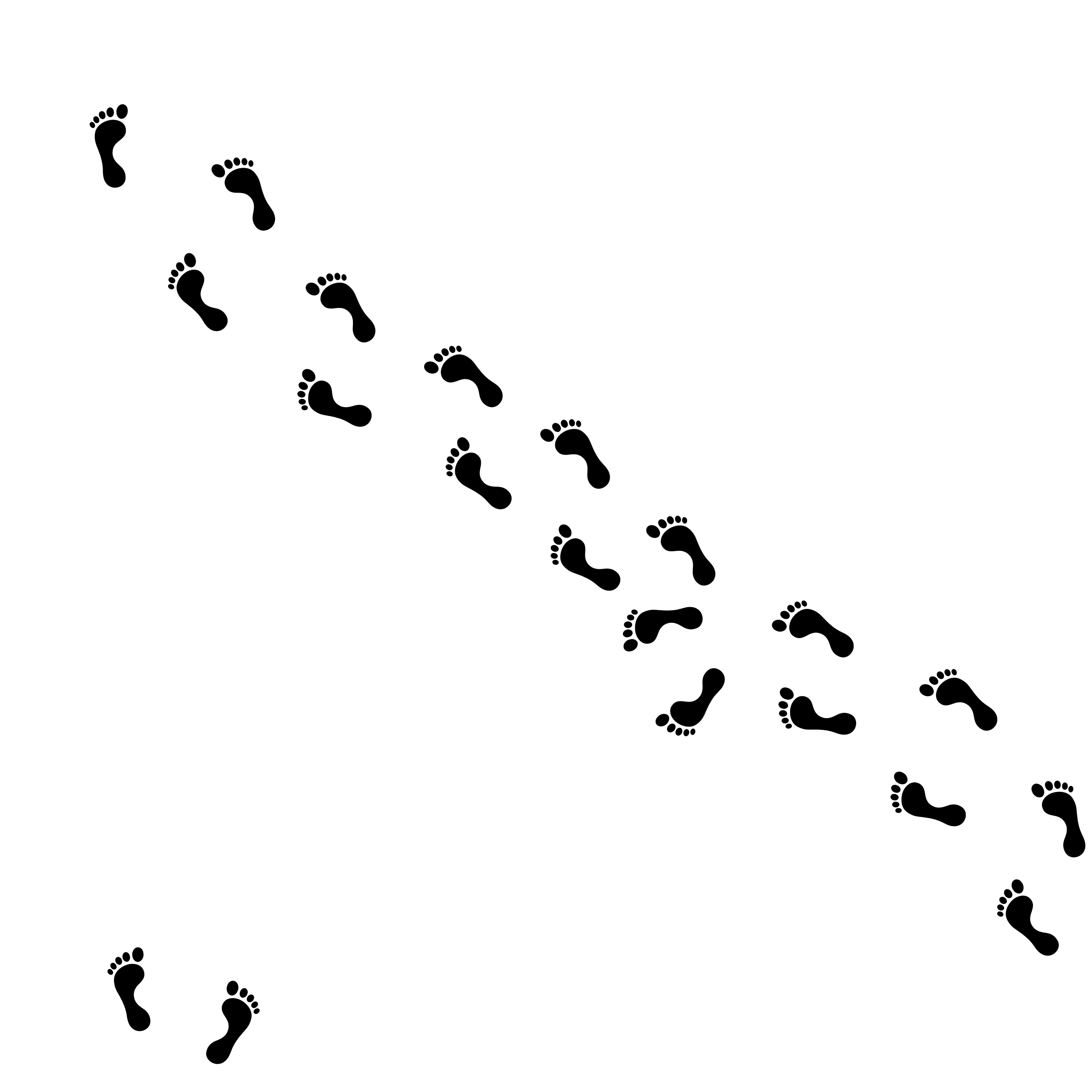 A pattern of black footprints arranged diagonally across a white background.